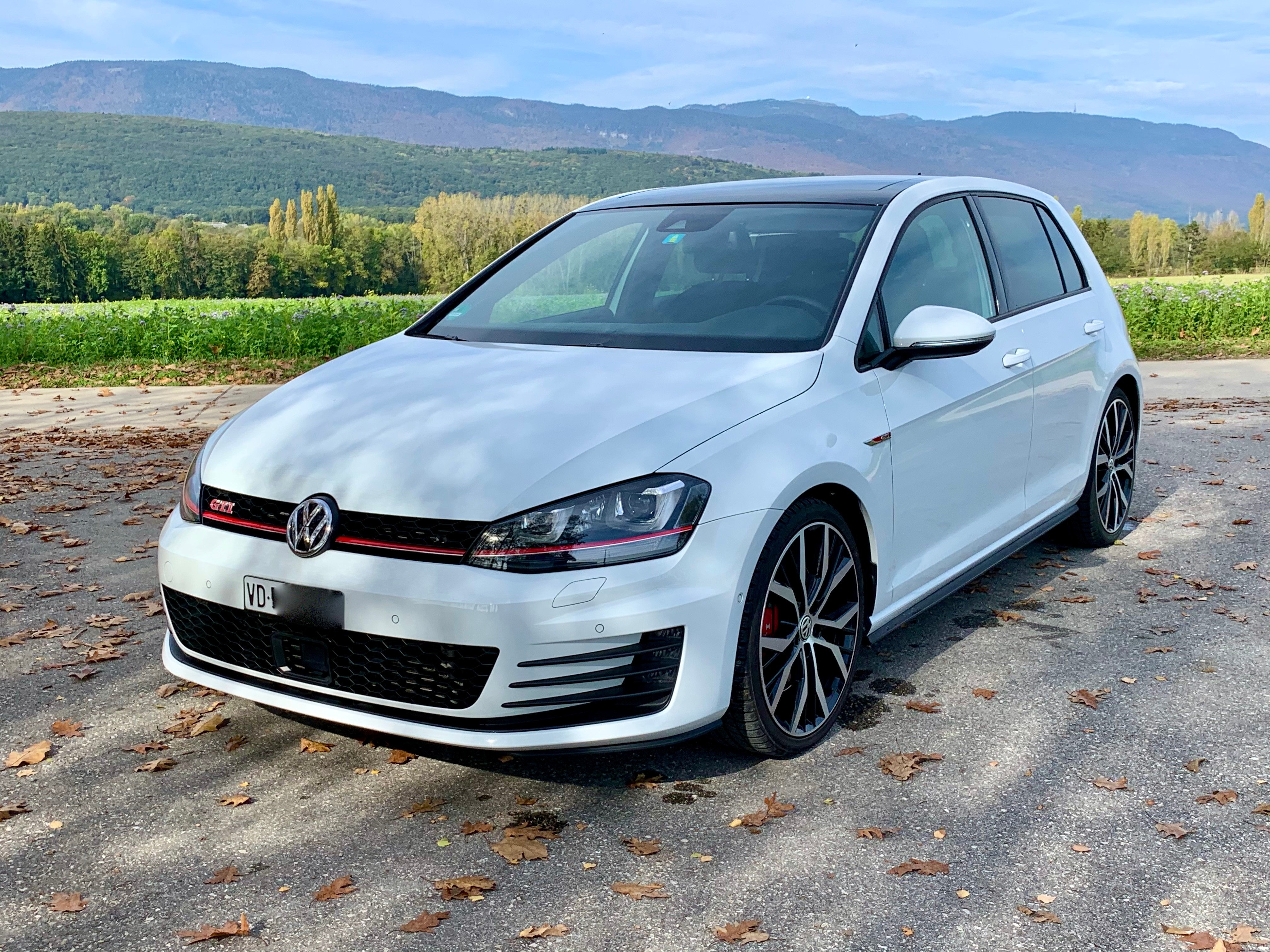 VW Golf 2.0 TSI GTI Performance DSG