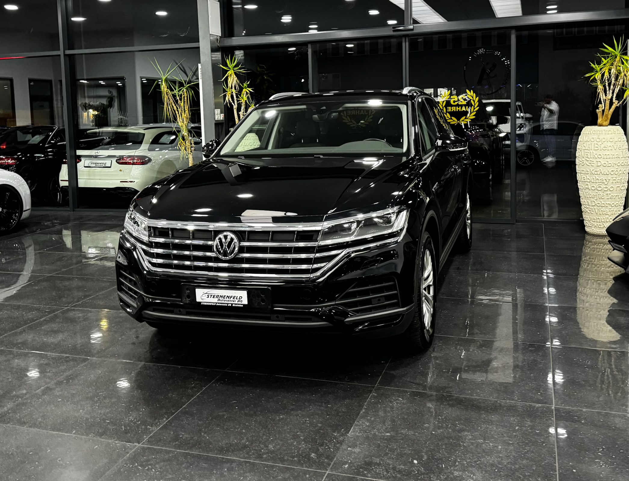 VW Touareg 3.0 TDI Basic Tiptronic