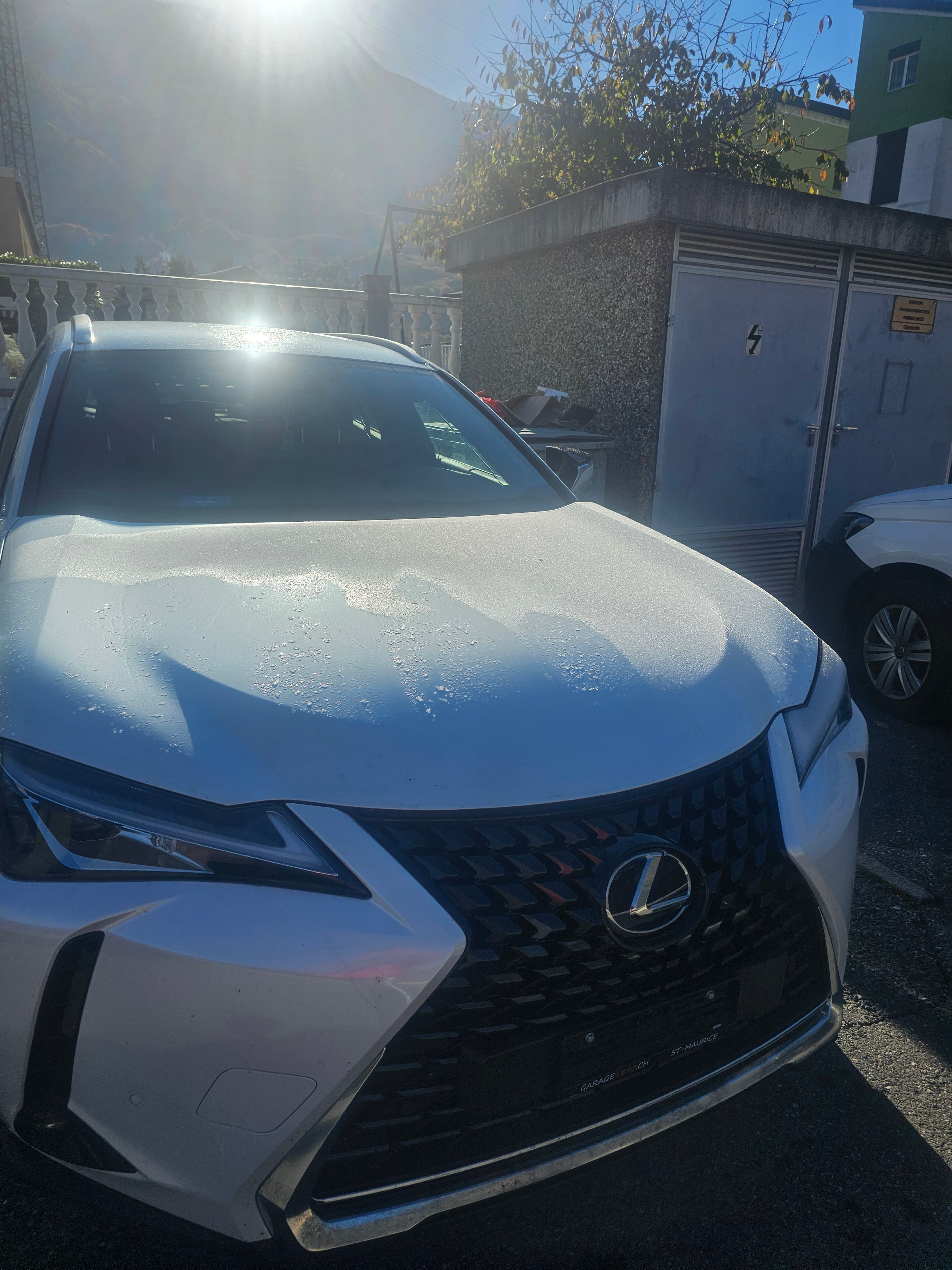 LEXUS UX 250h Eco Automatic