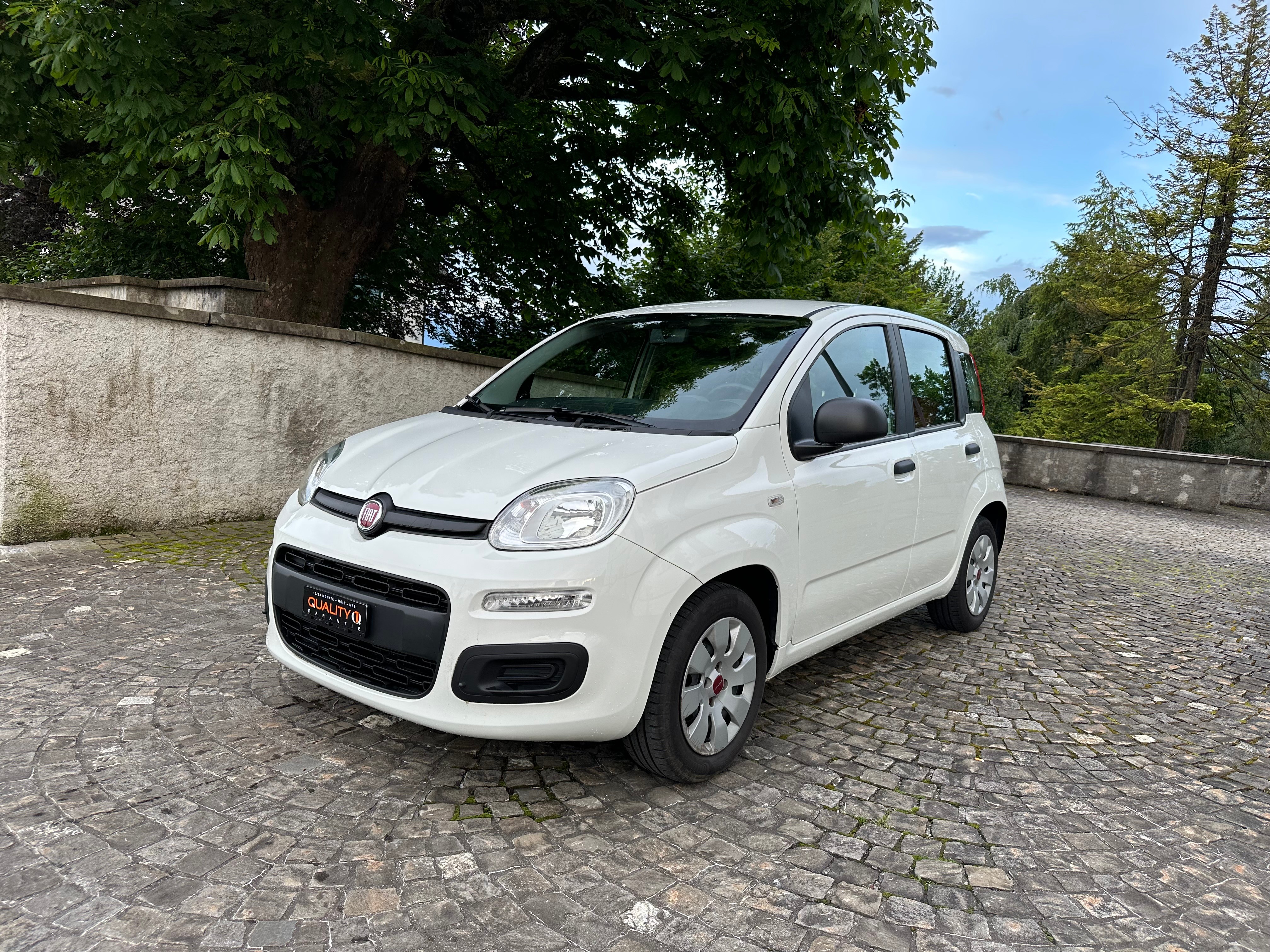 FIAT Panda 1.2 Lounge