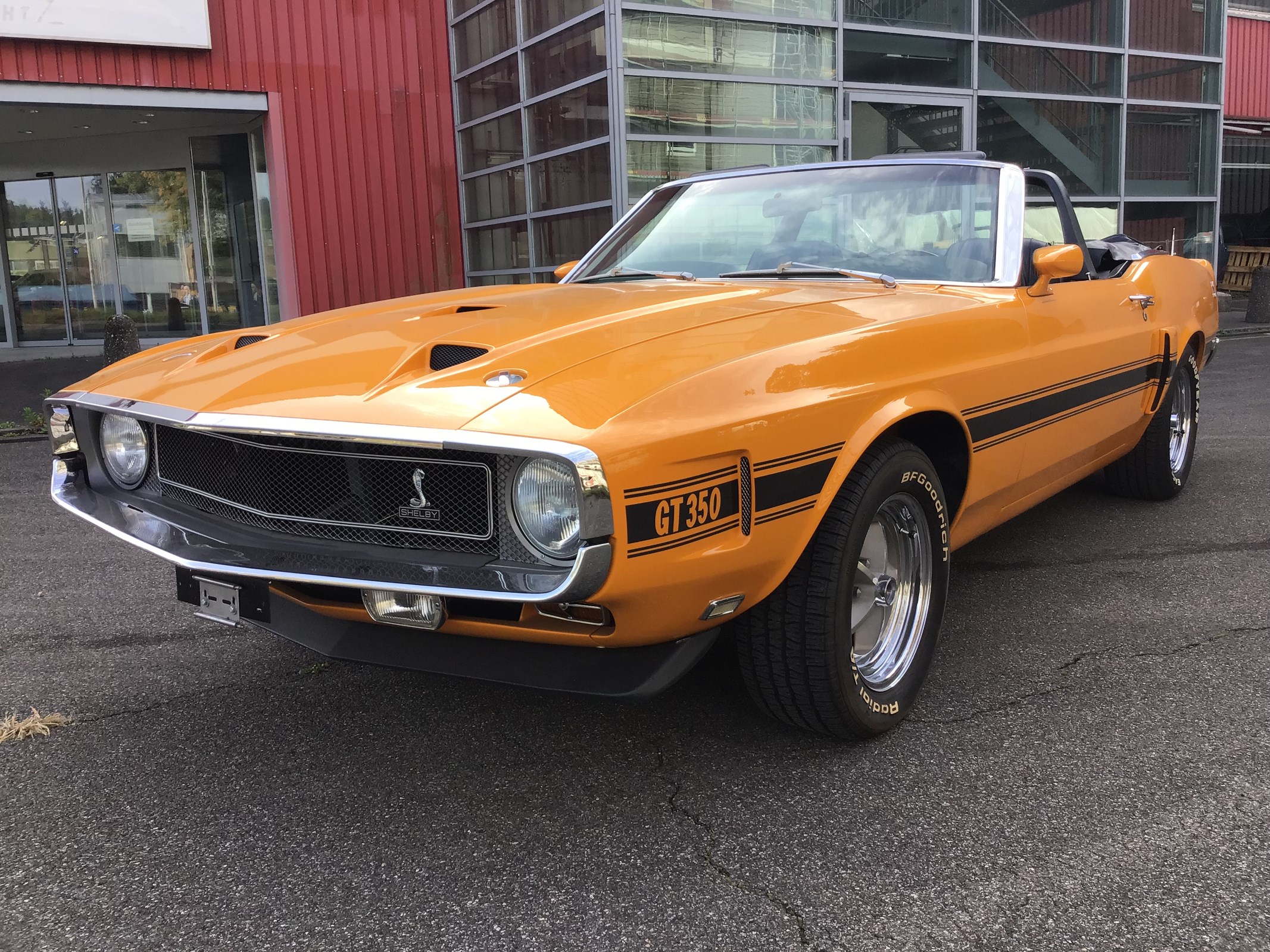 FORD MUSTANG SHELBY GT 350