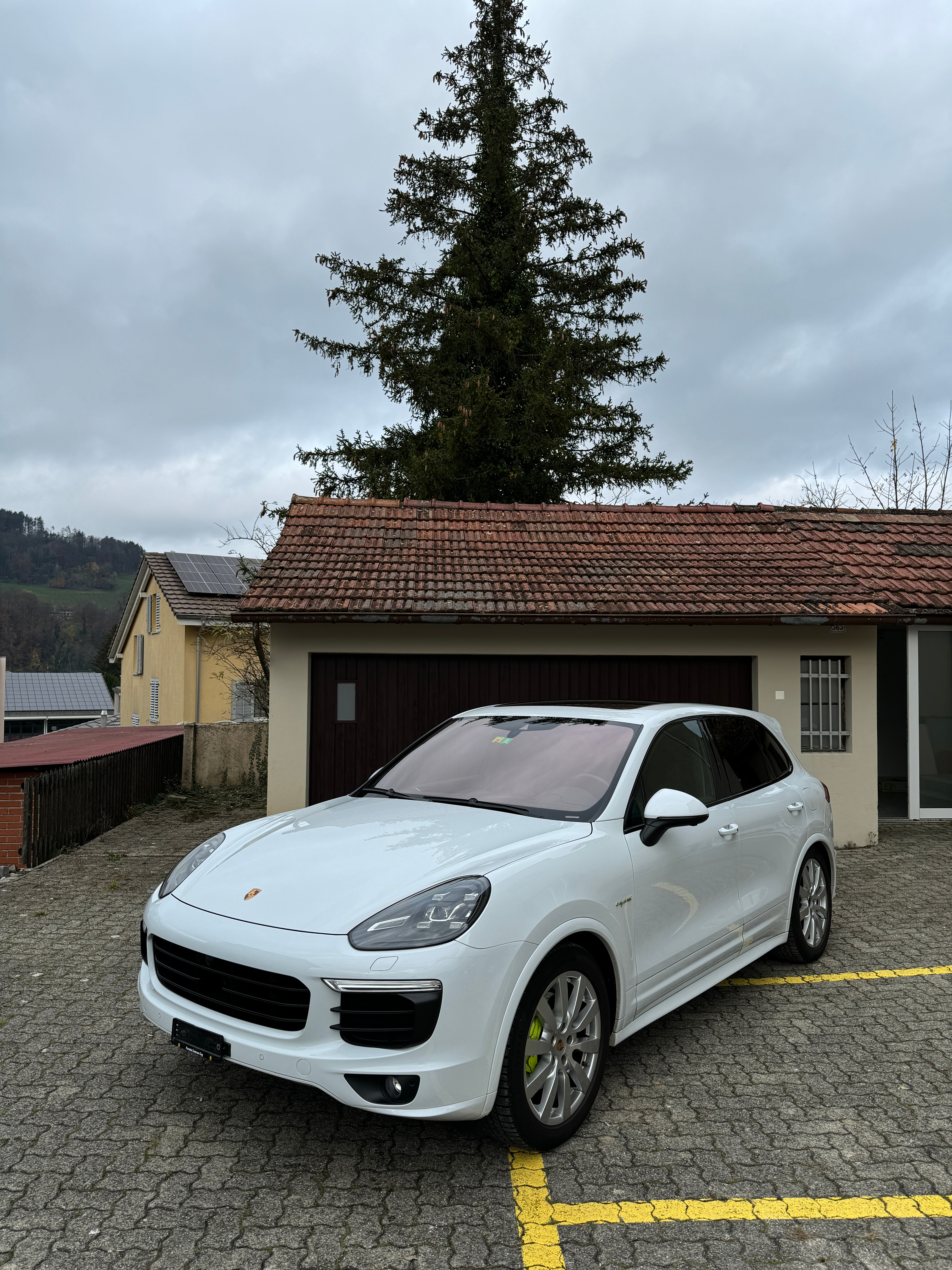 PORSCHE Cayenne S E-Hybrid