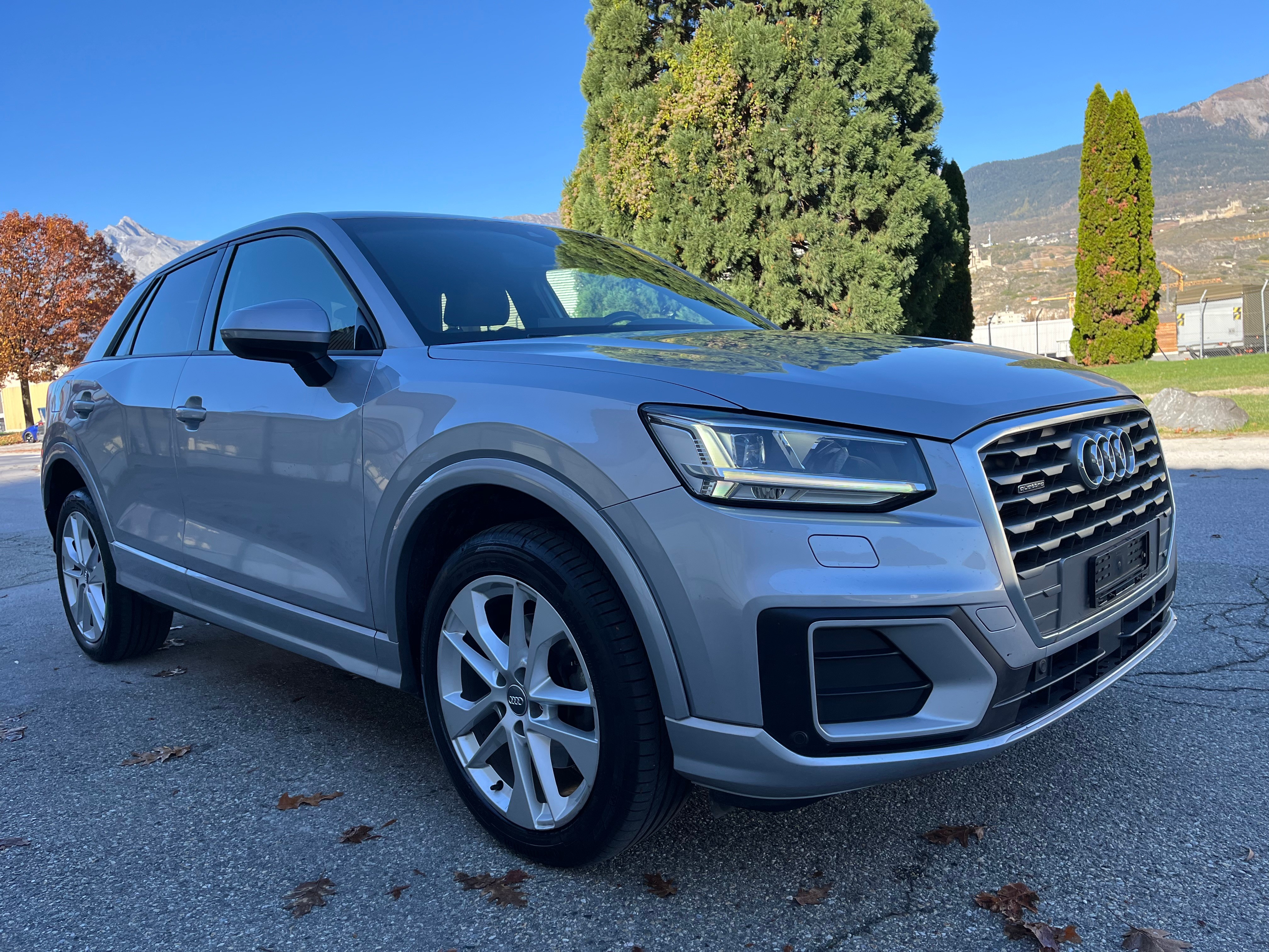 AUDI Q2 2.0 TDI sport quattro S-tronic