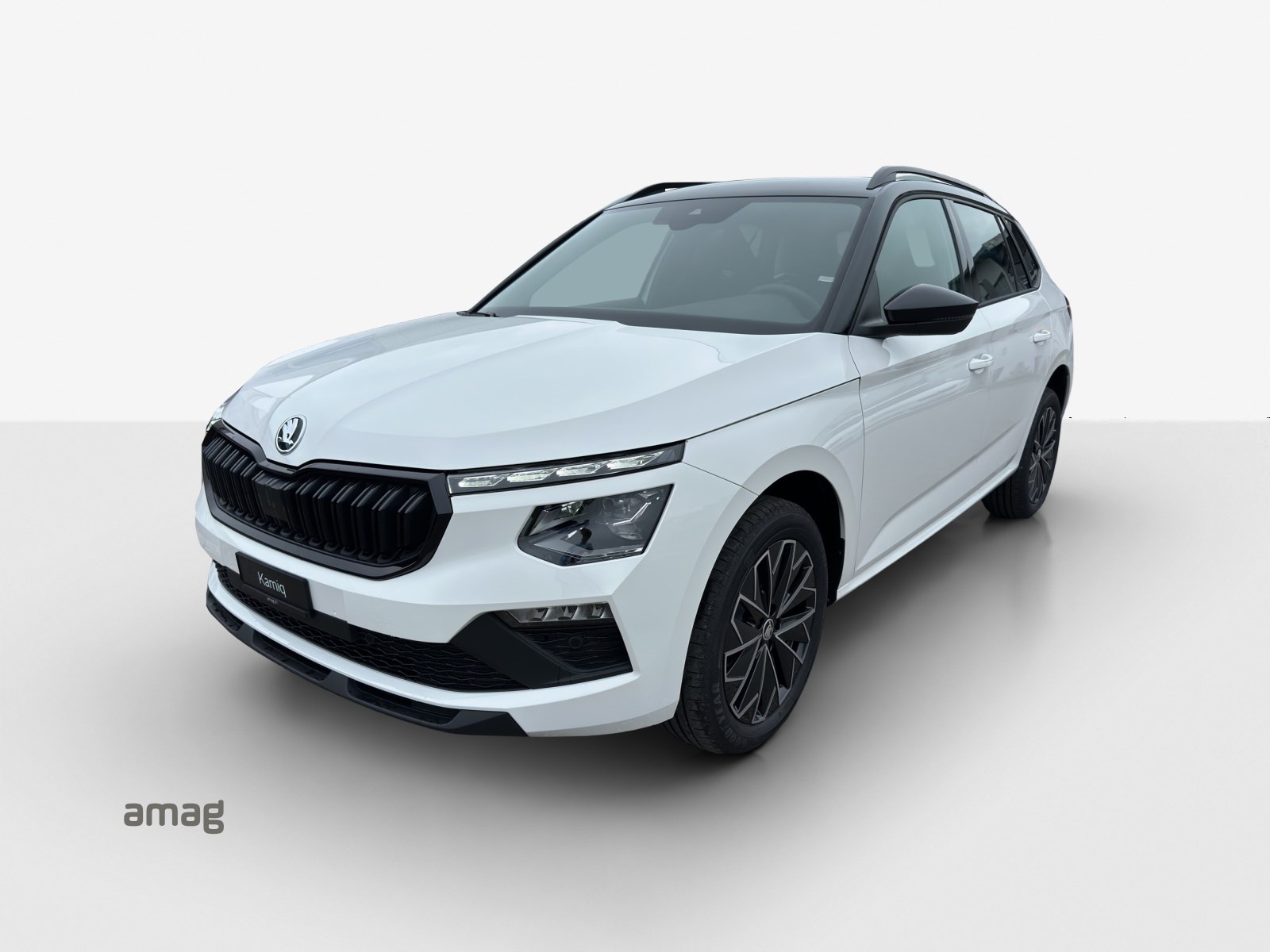 SKODA Kamiq 1.0 TSI Selection DSG