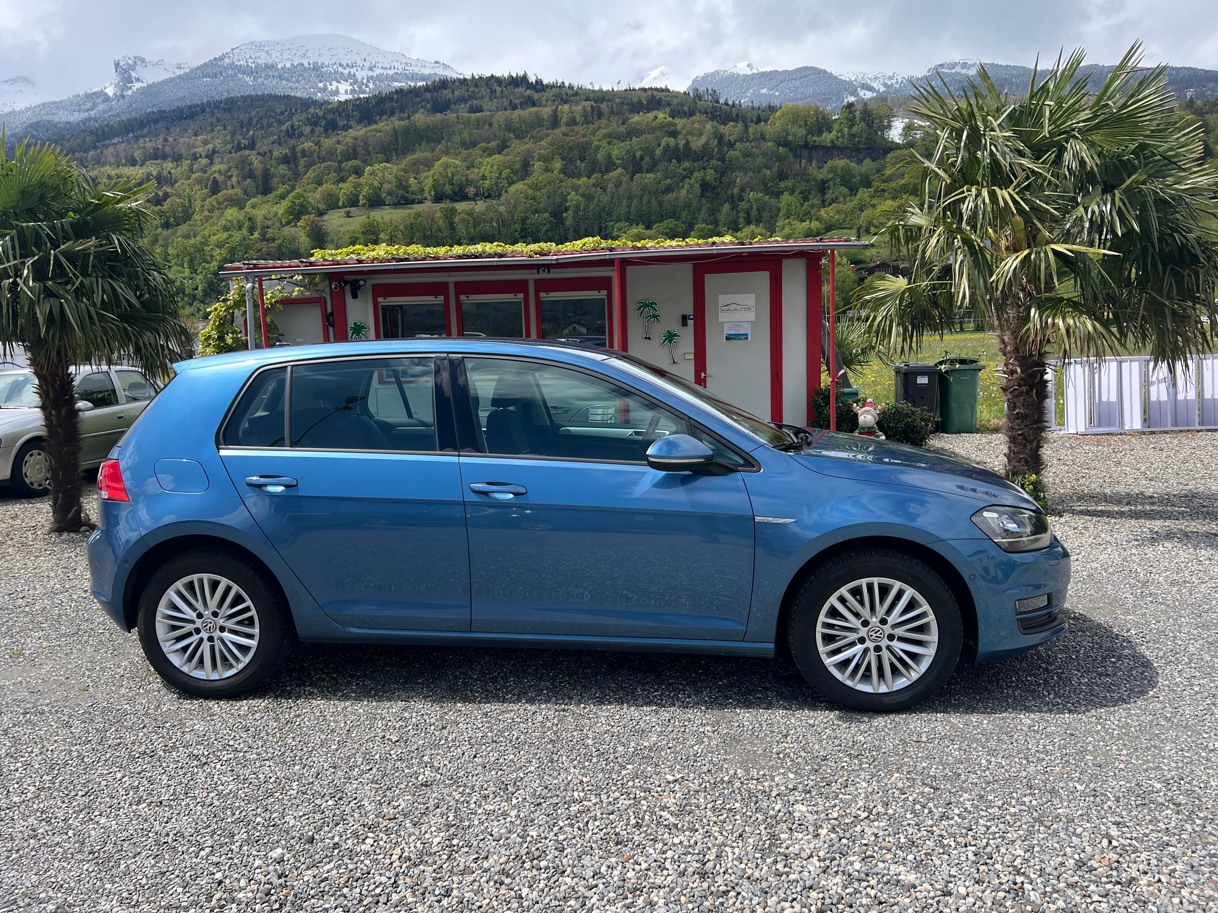 VW Golf 1.6 TDI Cup DSG