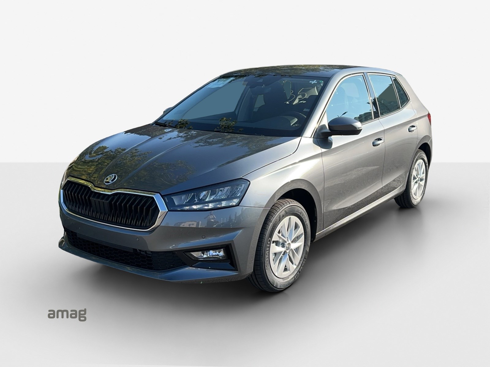 SKODA Fabia 1.0 TSI Selection