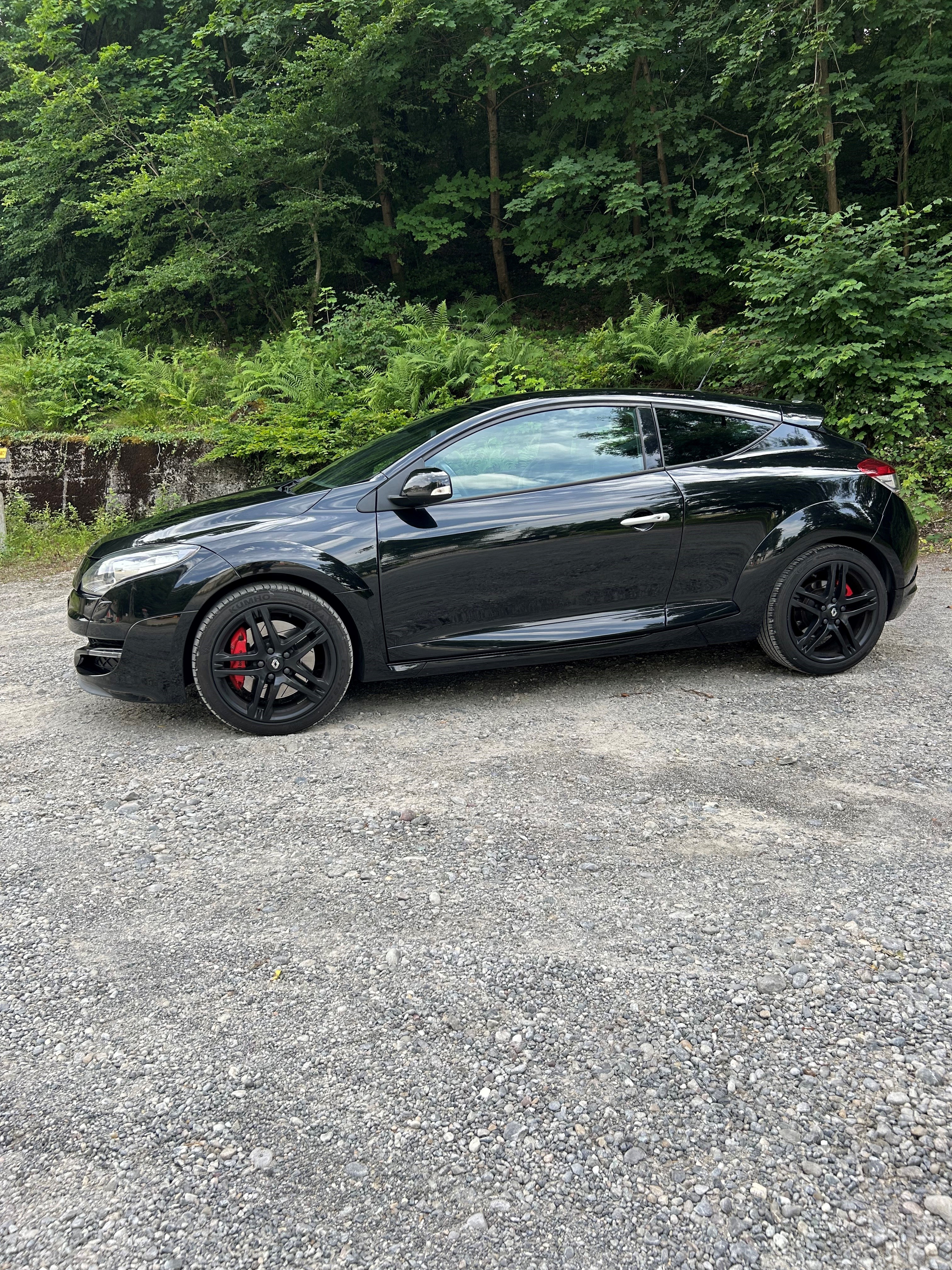 RENAULT Mégane Coupé 2.0 16V Turbo RS