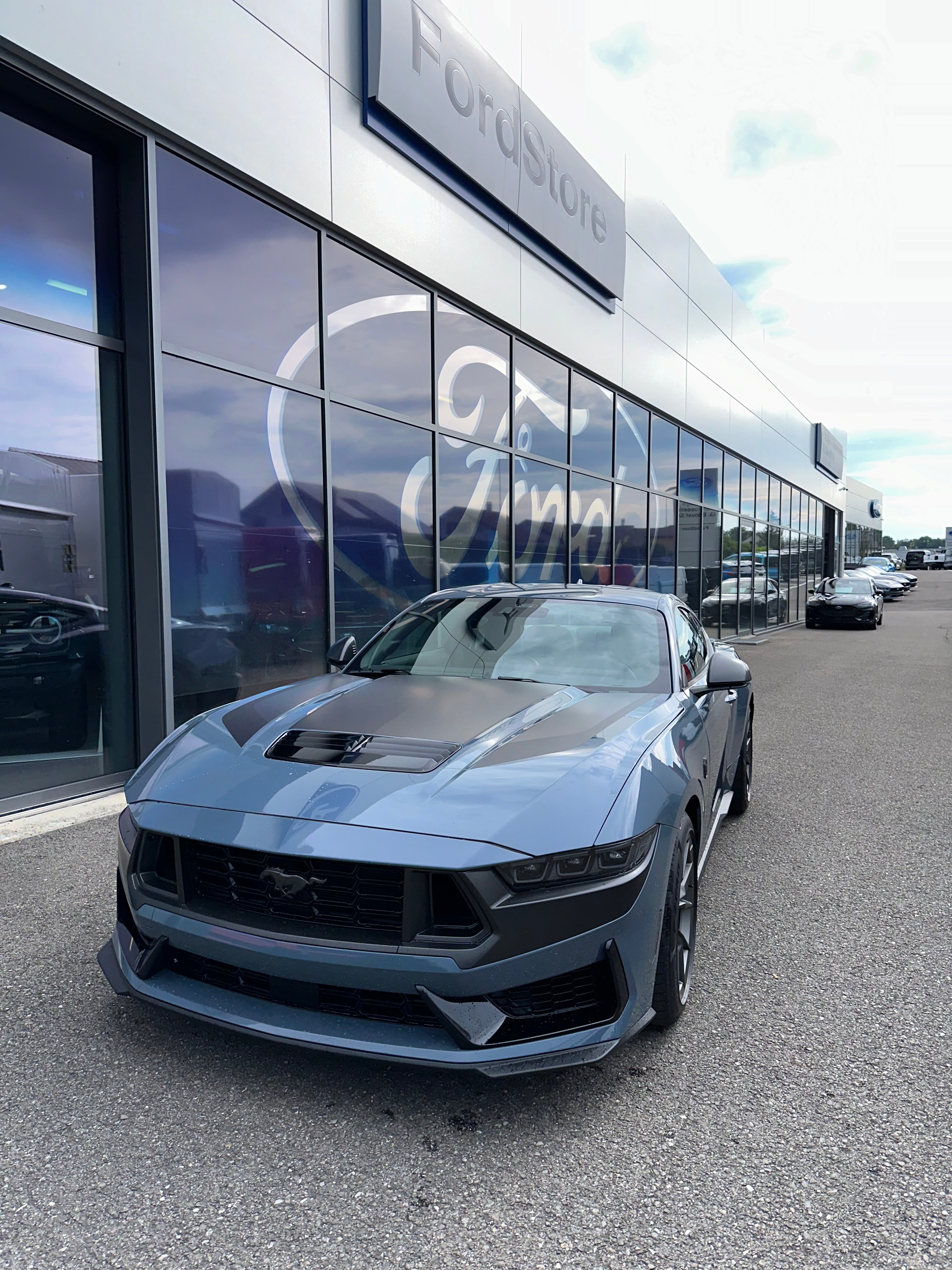 FORD Mustang Coupé 5.0 V8 Dark Hors 450CV/Man.