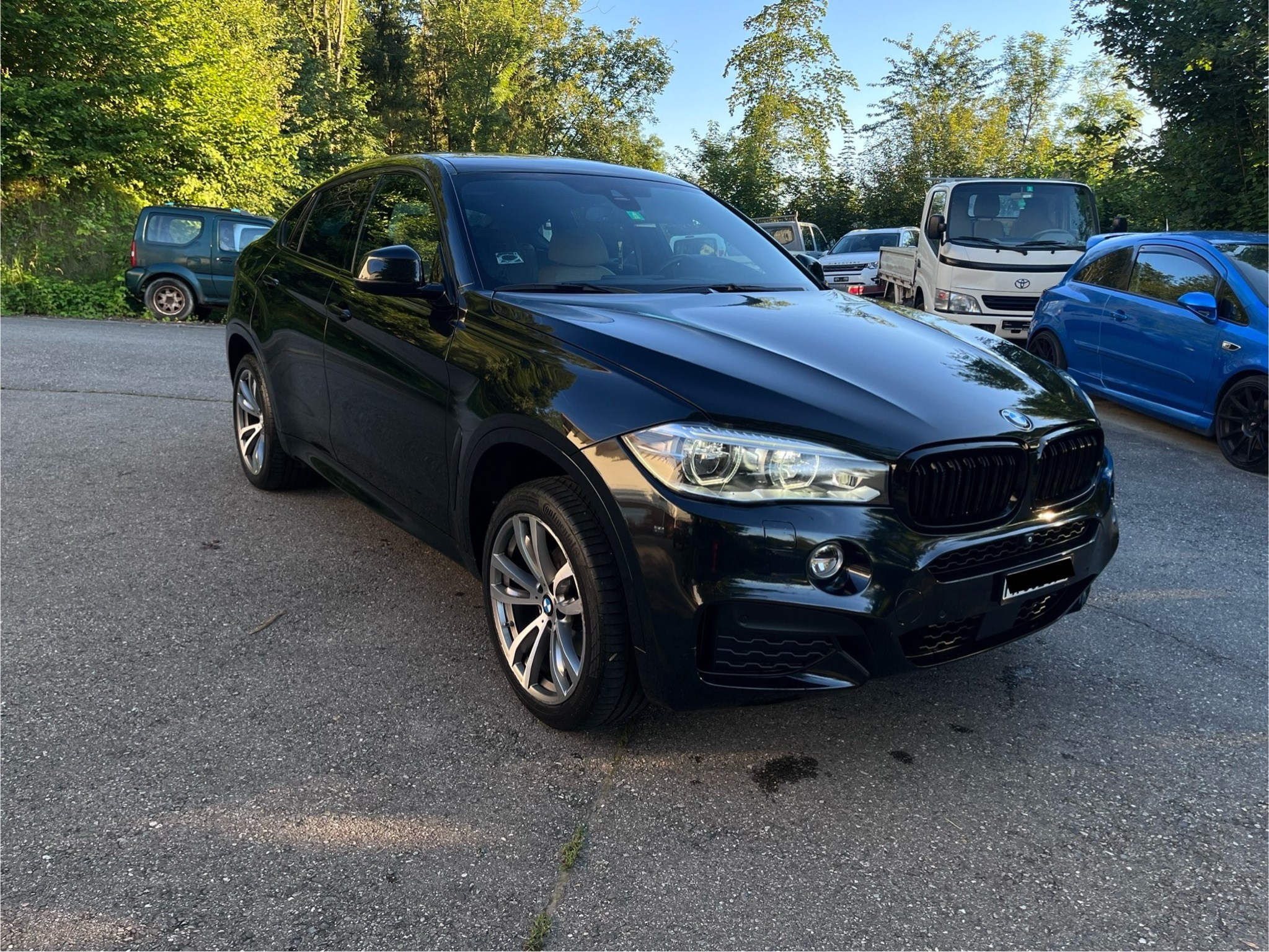 BMW X6 xDrive 30d Steptronic