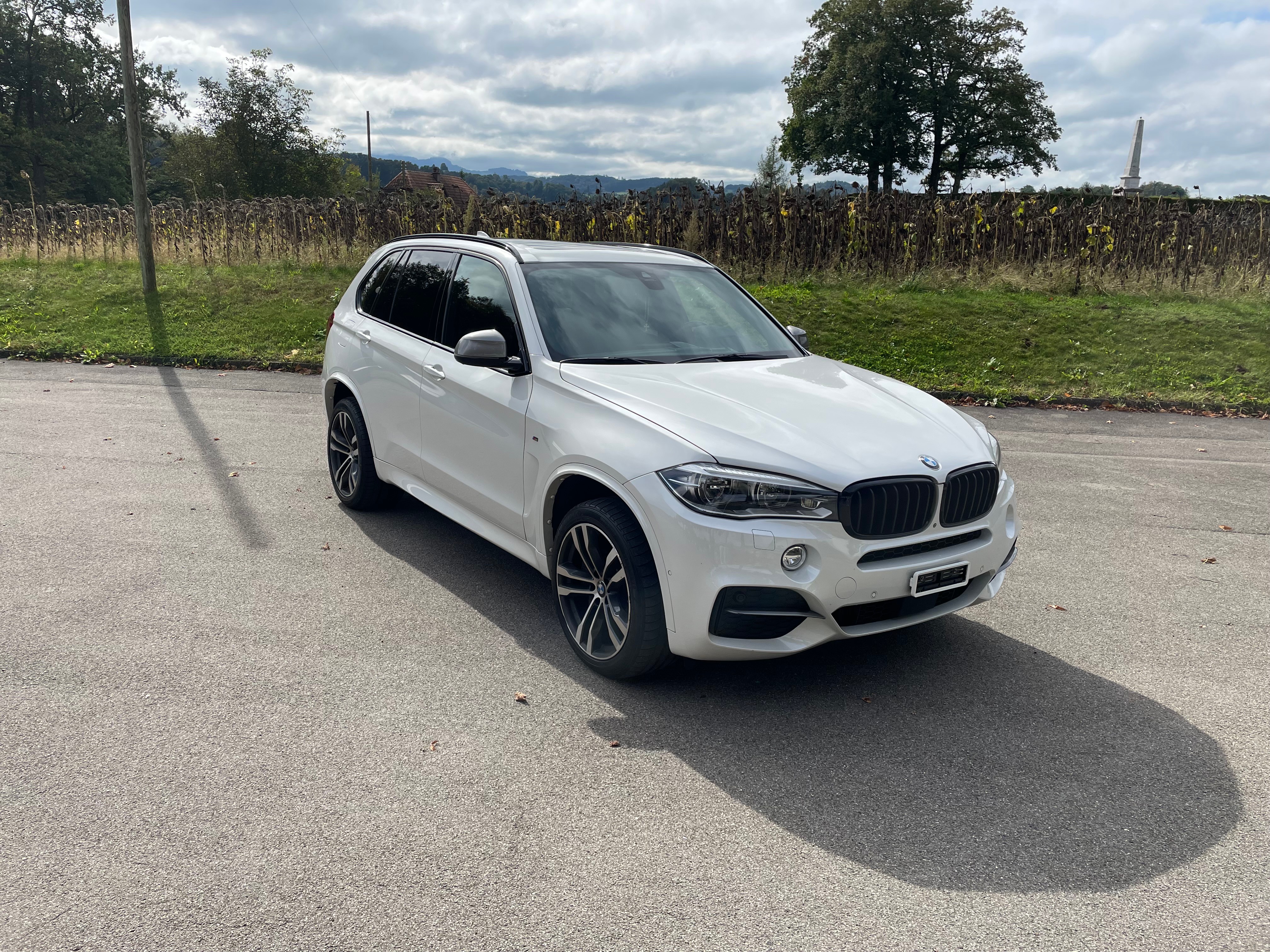 BMW X5 xDrive M50d Steptronic