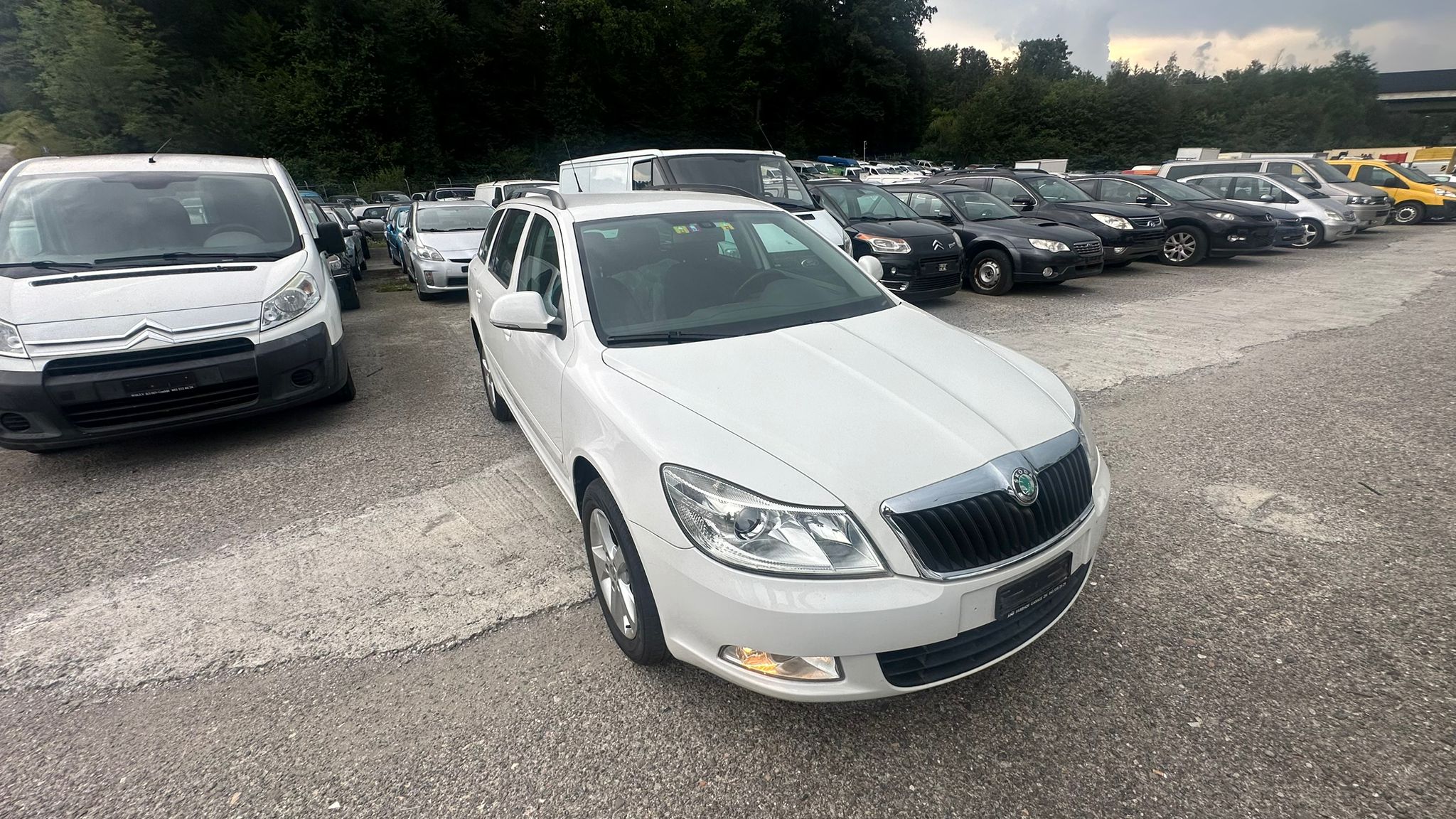 SKODA Octavia Combi 1.6 TDI Stöckli 4x4