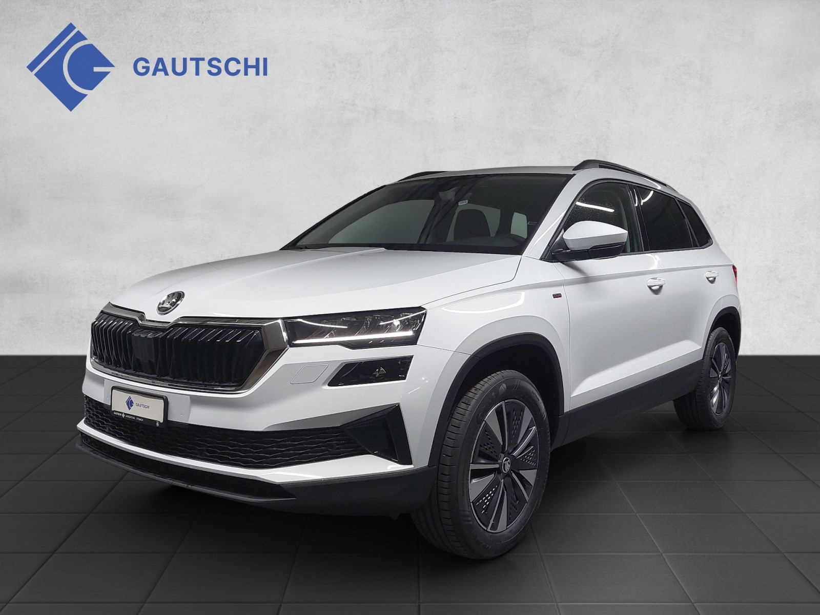 SKODA Karoq 2.0 TDI CR Selection 4x4 DSG