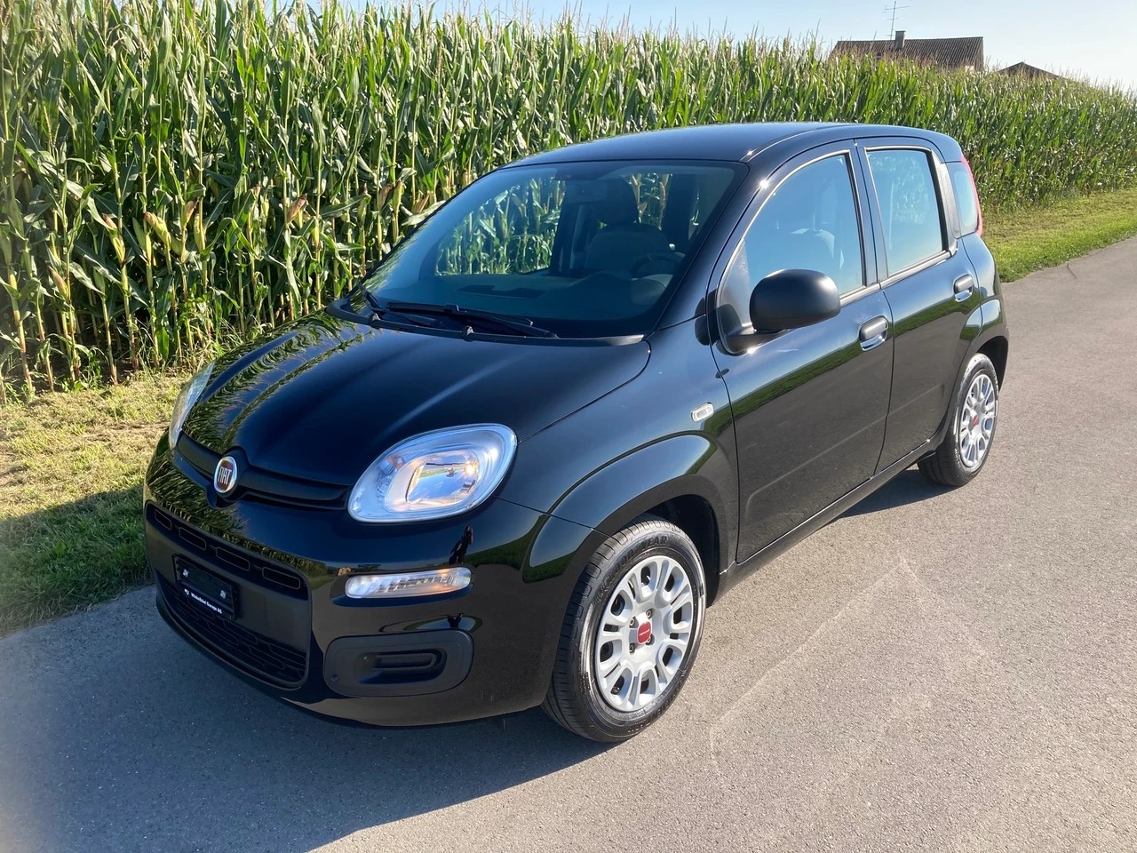 FIAT Panda 1.0 MHEV Cool mit Pizza Ofen