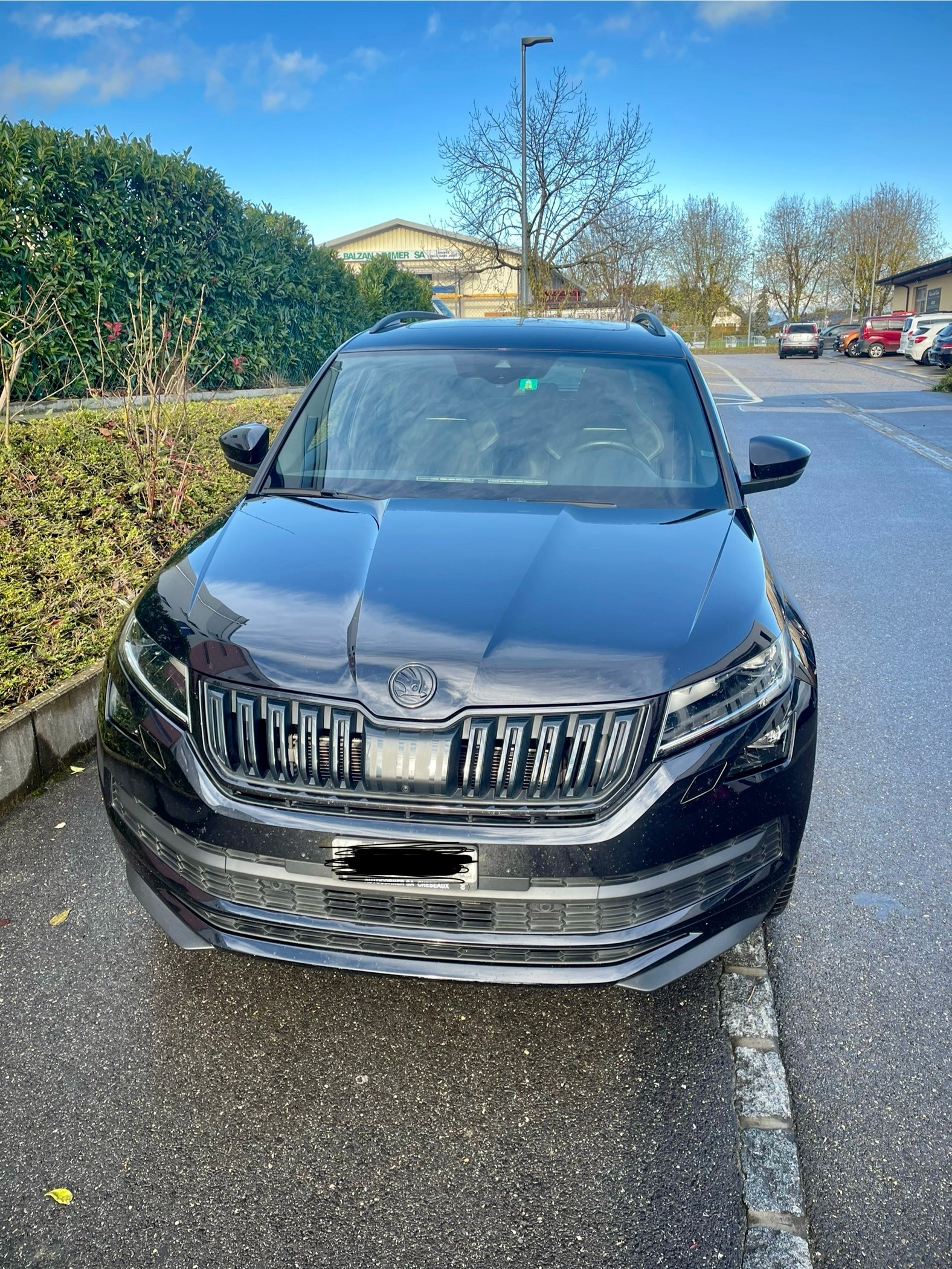 SKODA Kodiaq 2.0 TSI 4x4 Sport Line