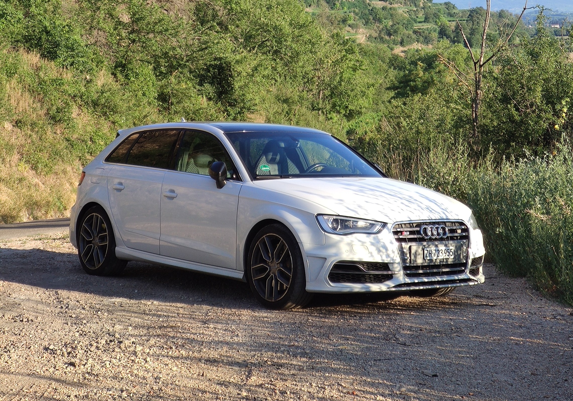 AUDI S3 Sportback inkl. Remus AGA