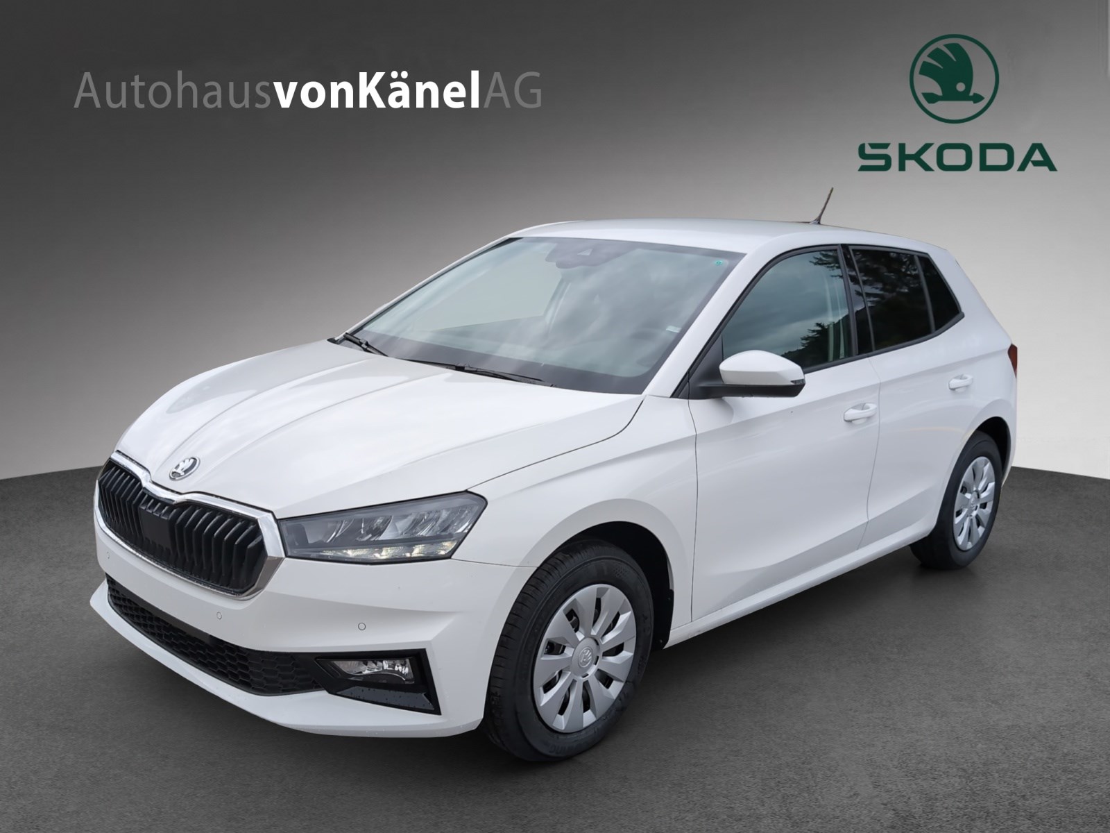 SKODA Fabia 1.0 TSI Selection DSG