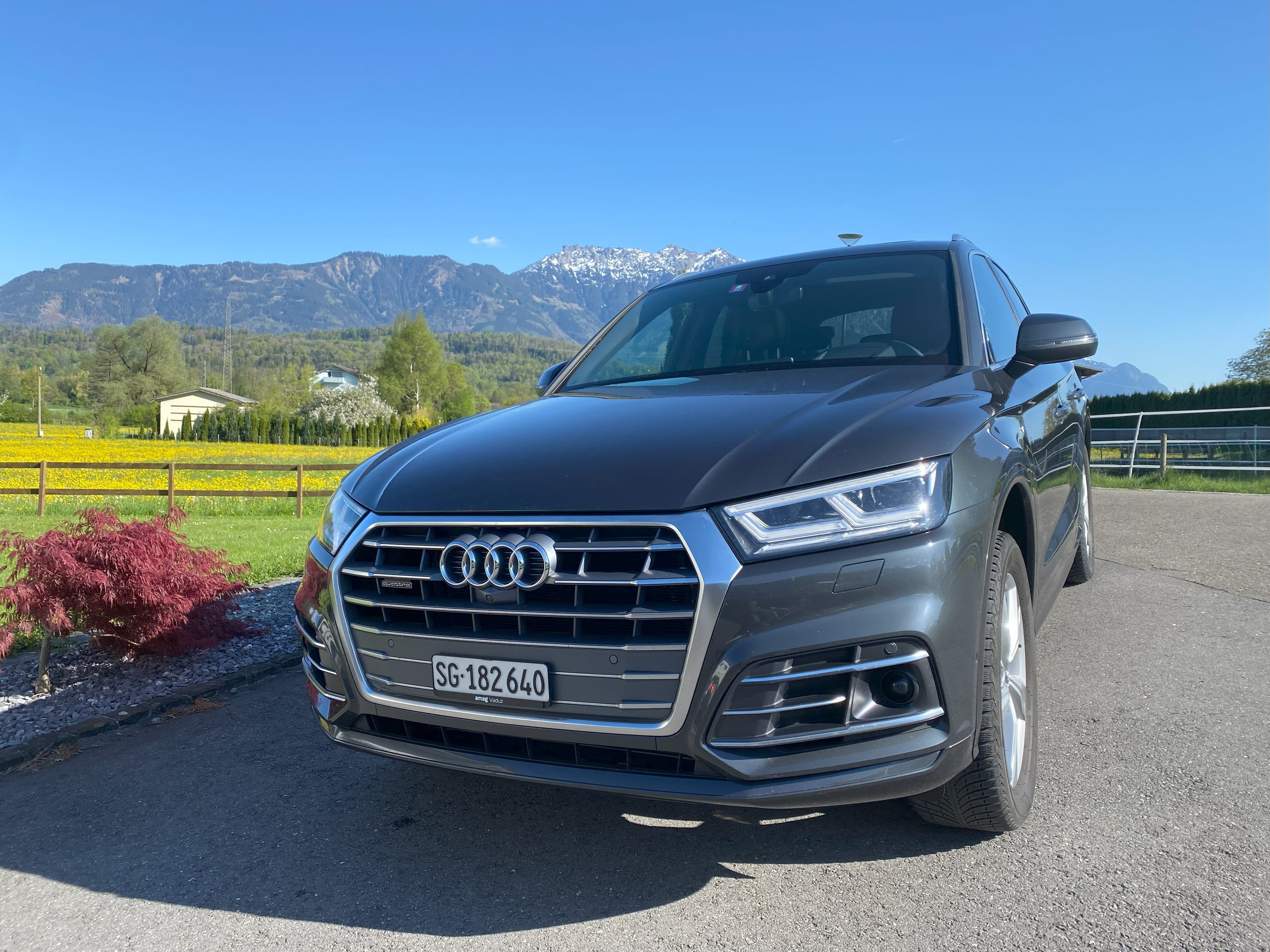 AUDI Q5 40 TDI sport quattro S-tronic Luftfahrwerk AHK Panoramadach