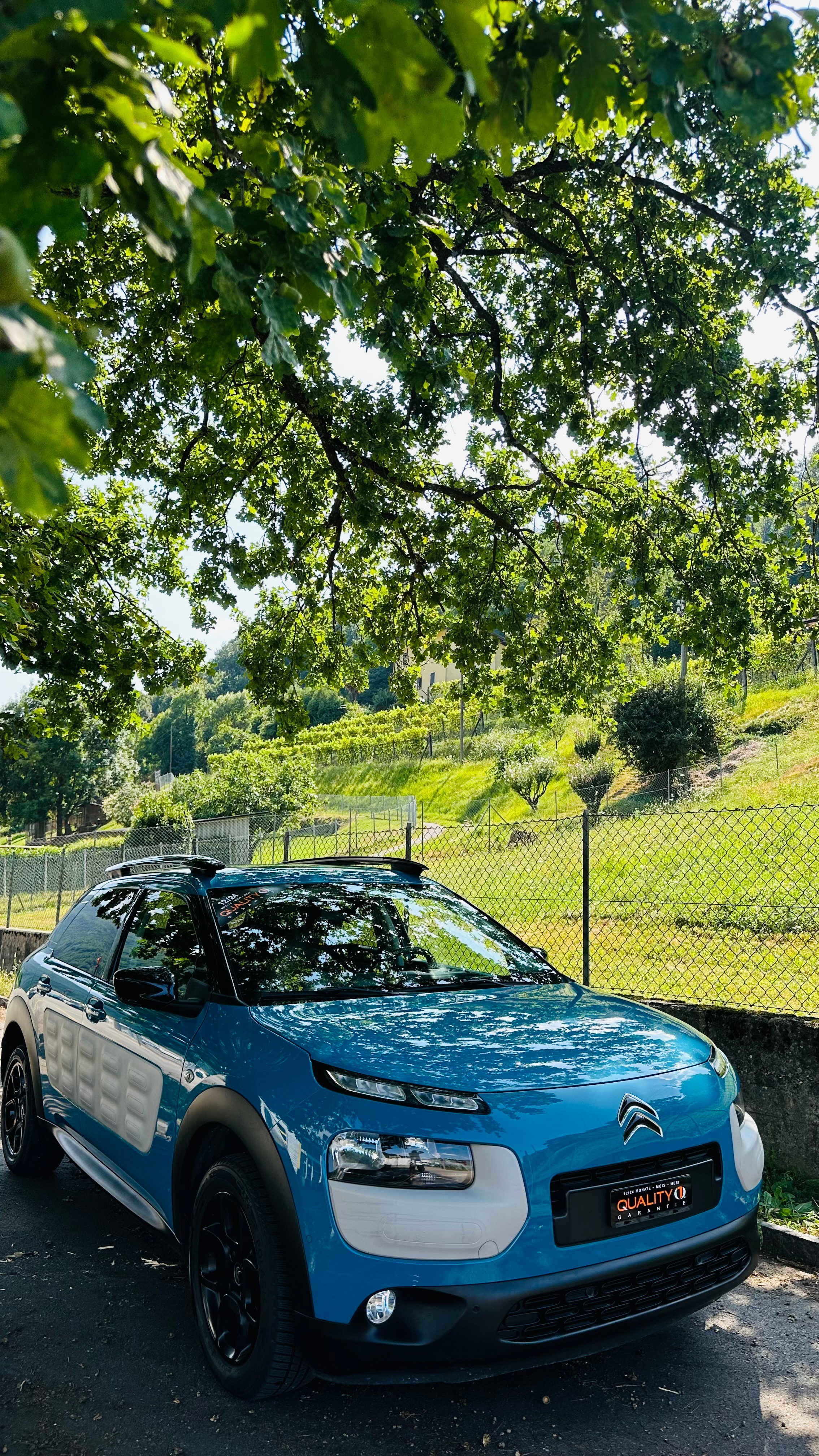 CITROEN C4 CACTUS