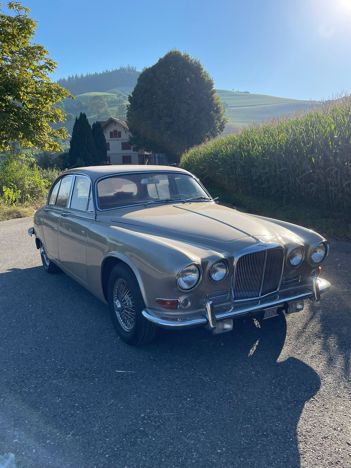 JAGUAR 420