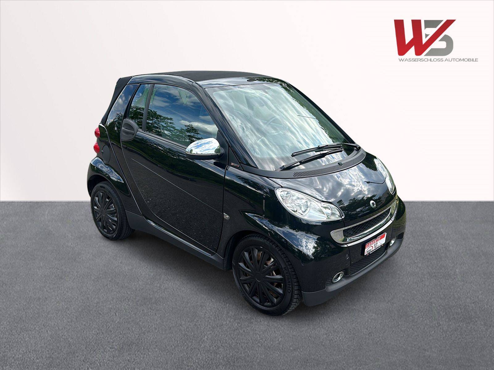 SMART fortwo pure mhd softip