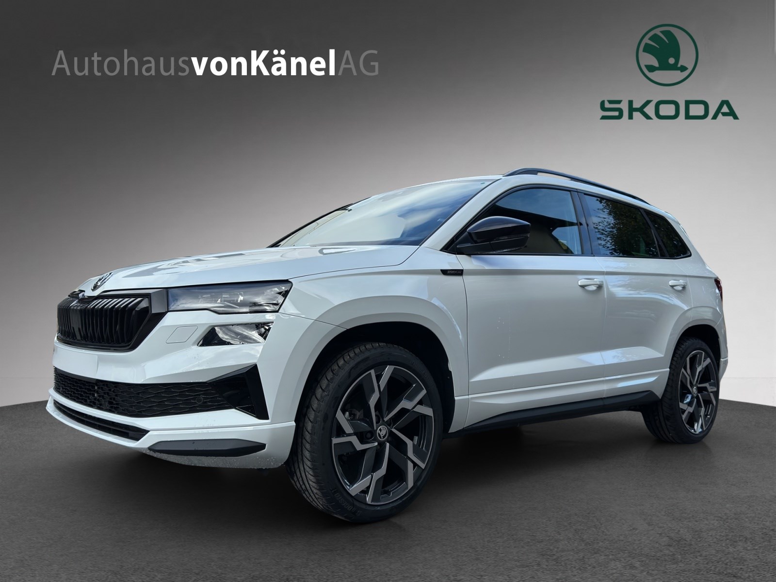 SKODA Karoq 2.0 TSI SportLine 4x4 DSG