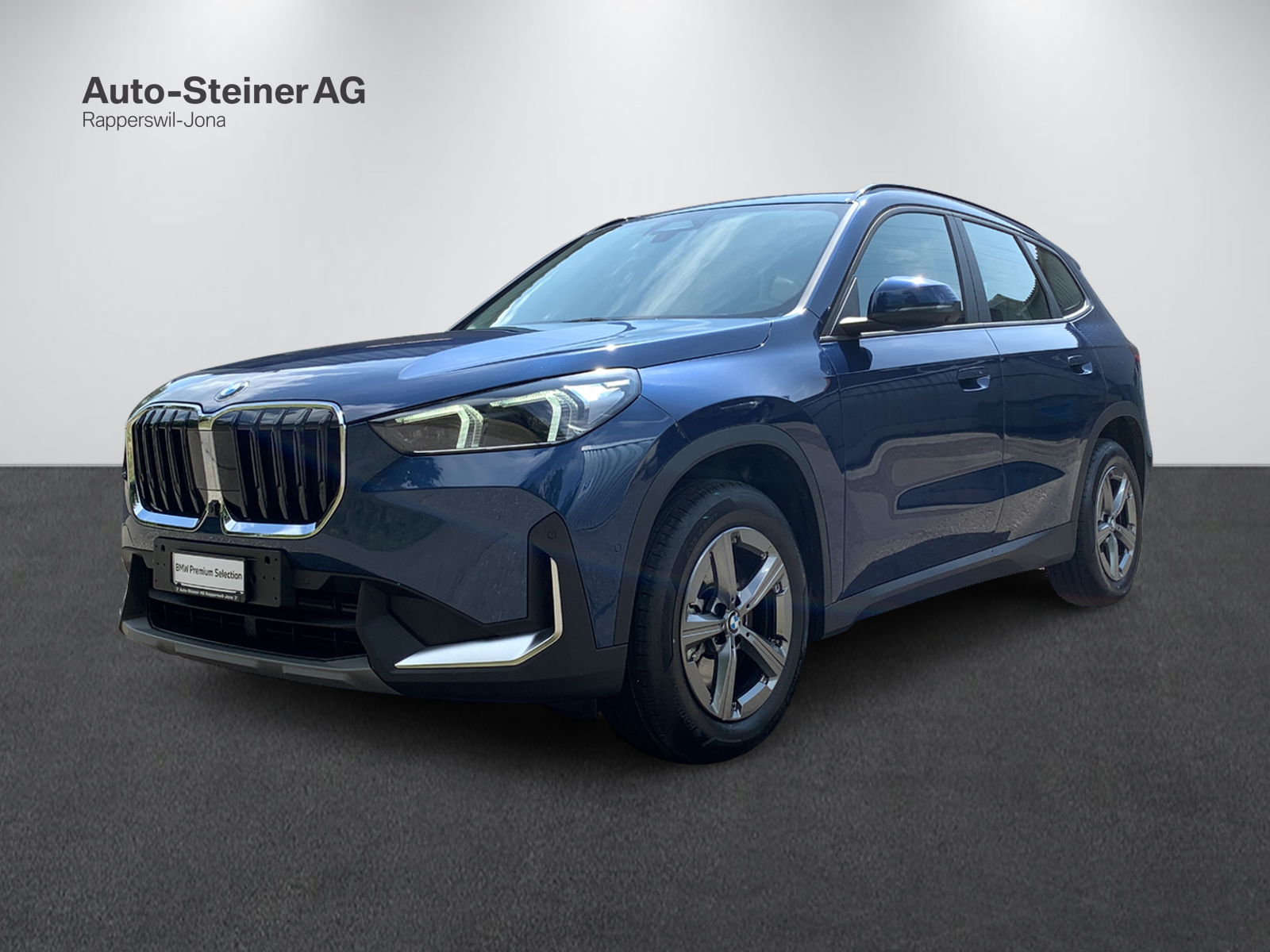 BMW X1 xDrive 23i 48V