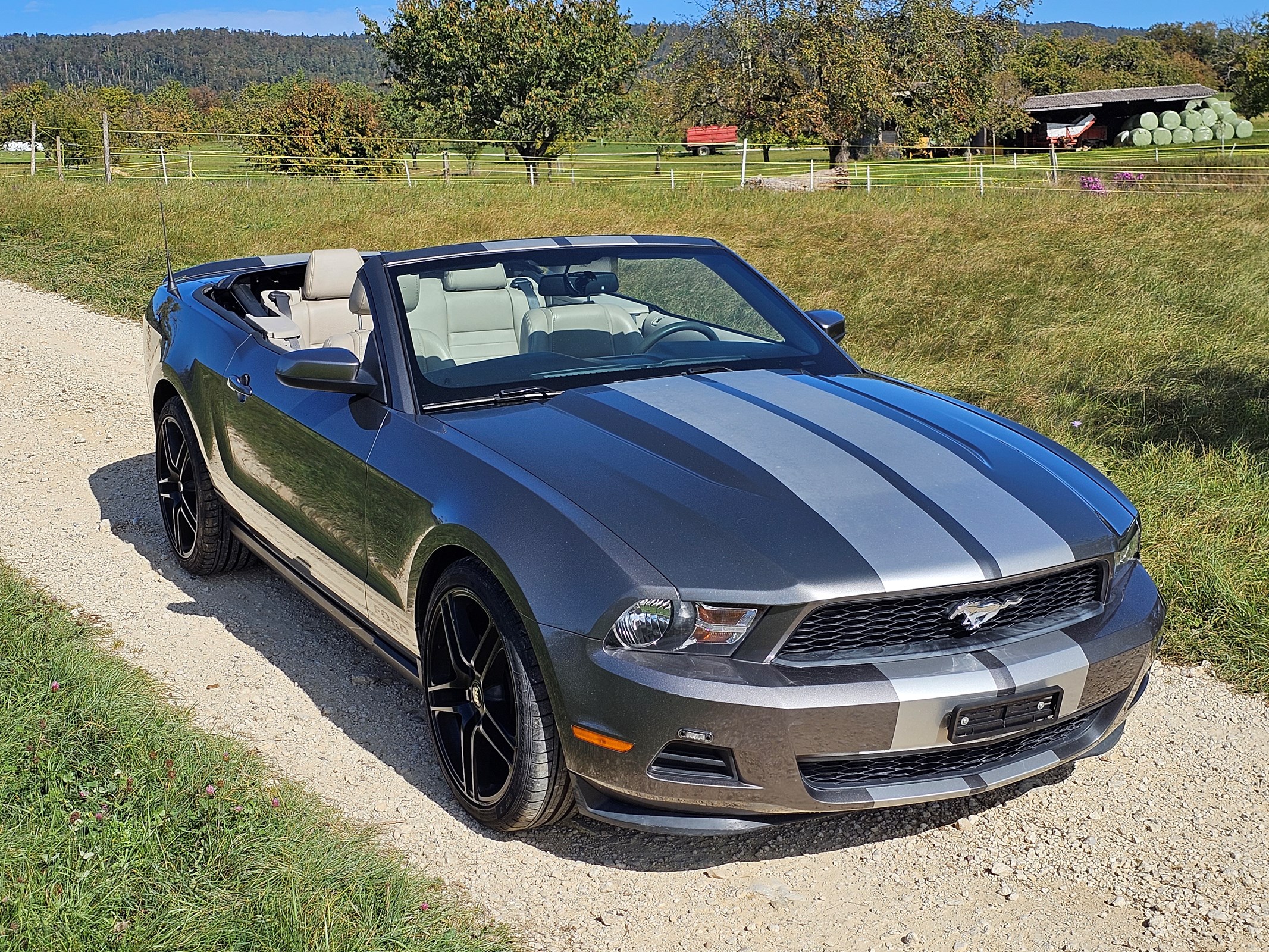 FORD MUSTANG V6