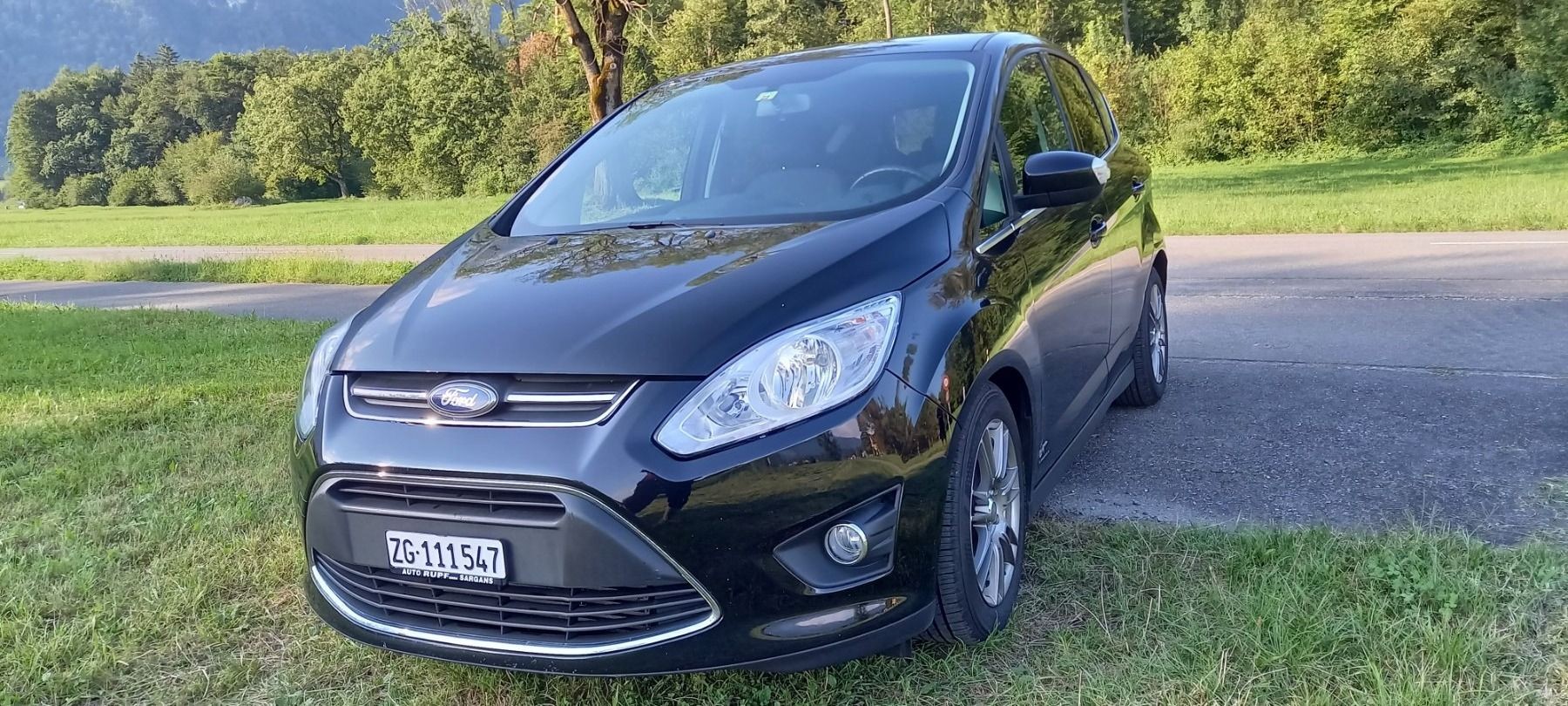 FORD C-Max 1.6 SCTi Carving