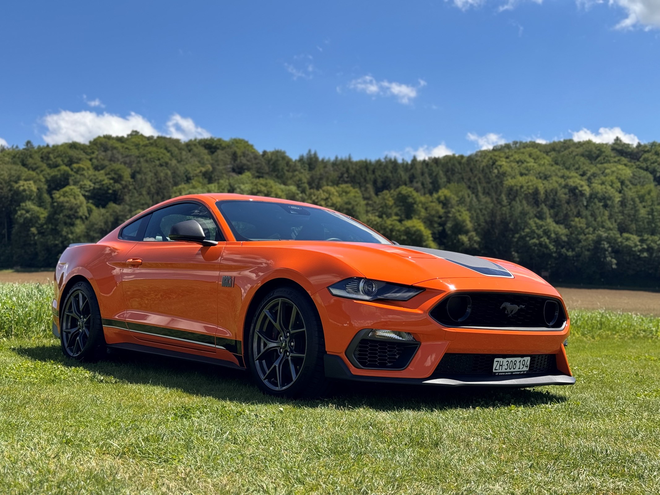 FORD Mustang Fastback 5.0 V8 Mach 1 Automat