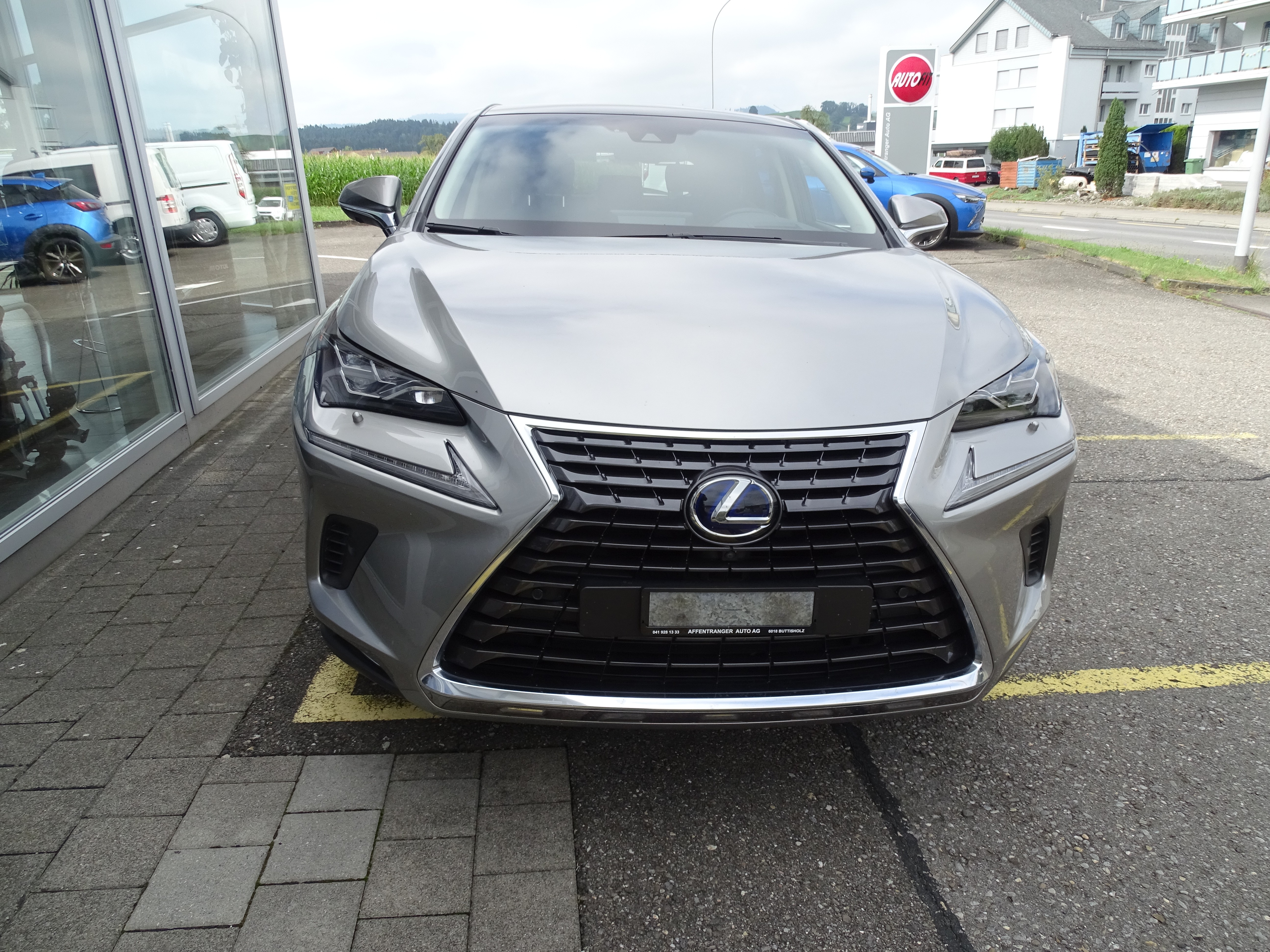 LEXUS NX 300h Excellence E-Four Automatic