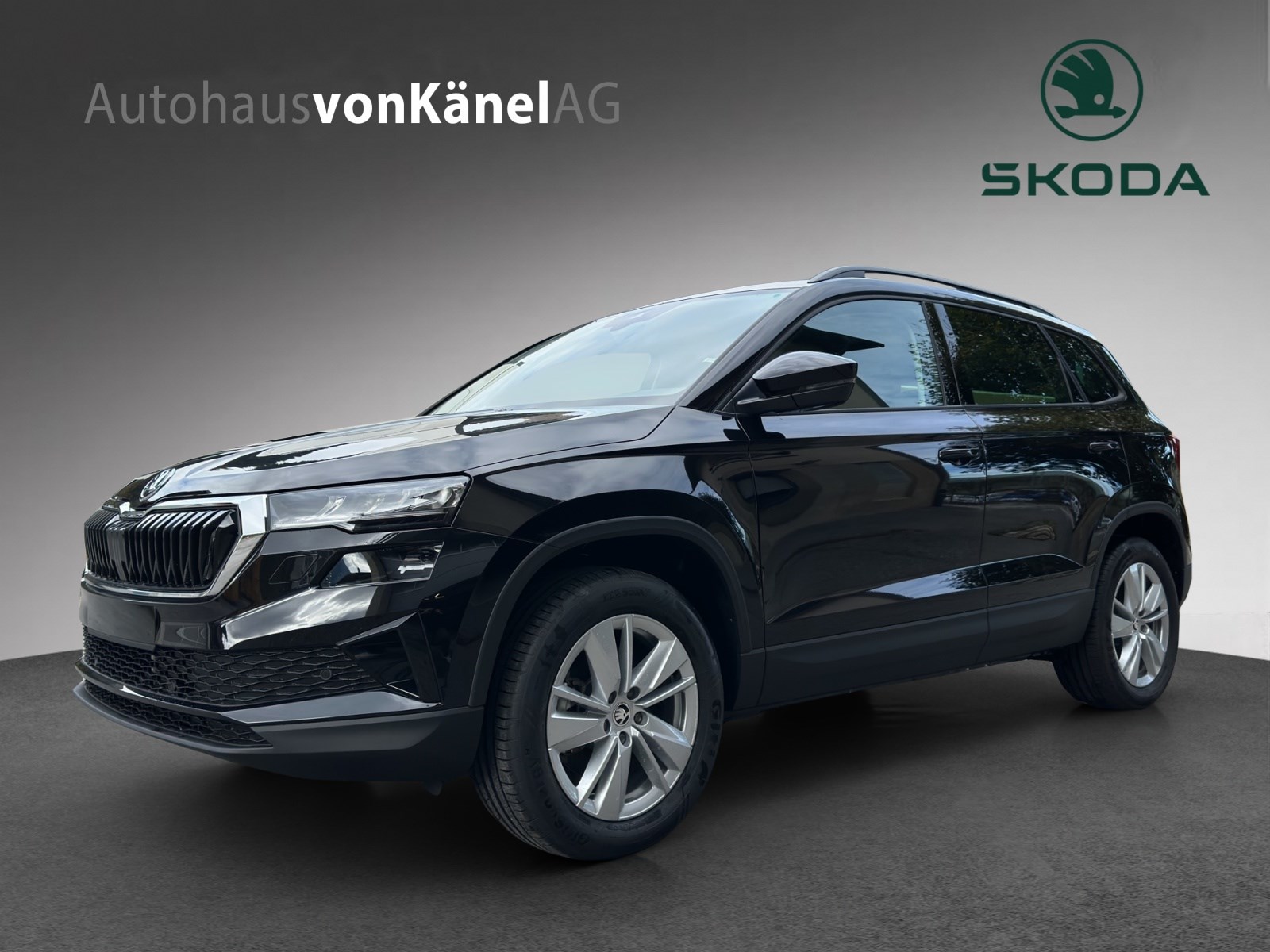 SKODA Karoq 2.0 TDI CR Selection 4x4 DSG