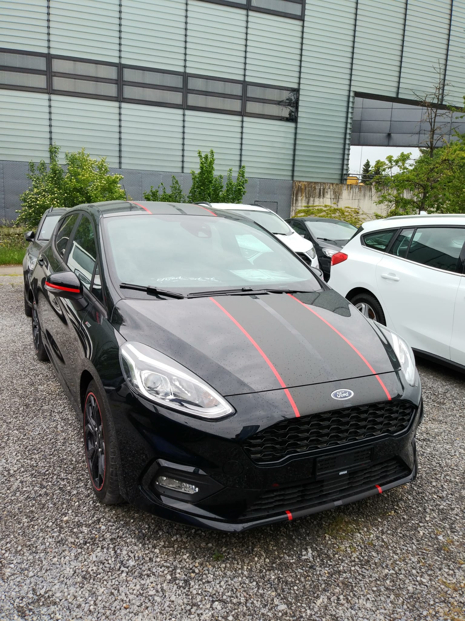 FORD Fiesta 1.0 SCTi Panther Edition