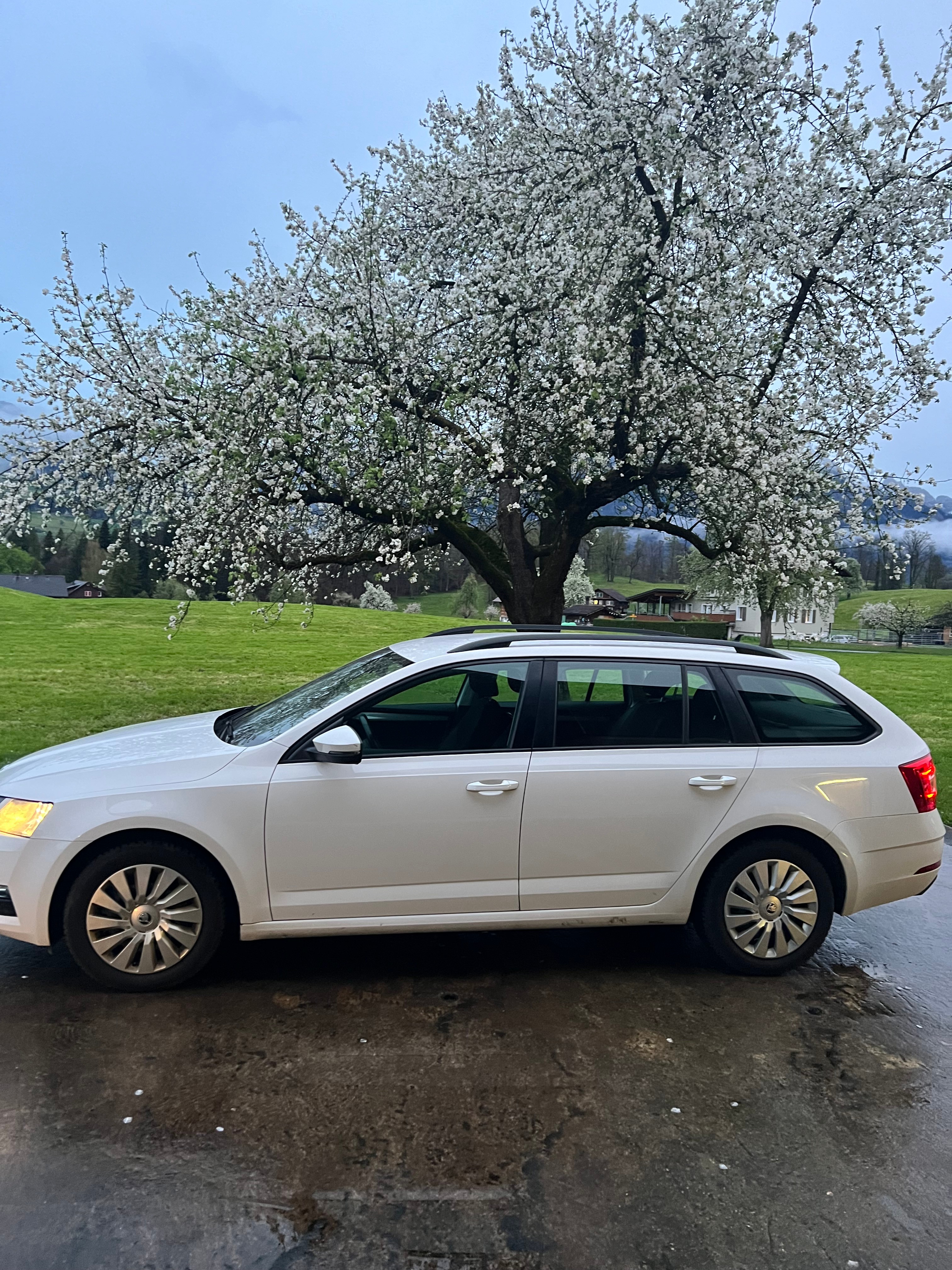 SKODA Octavia Combi 1.4 TSI G-tec Ambition CNG DSG