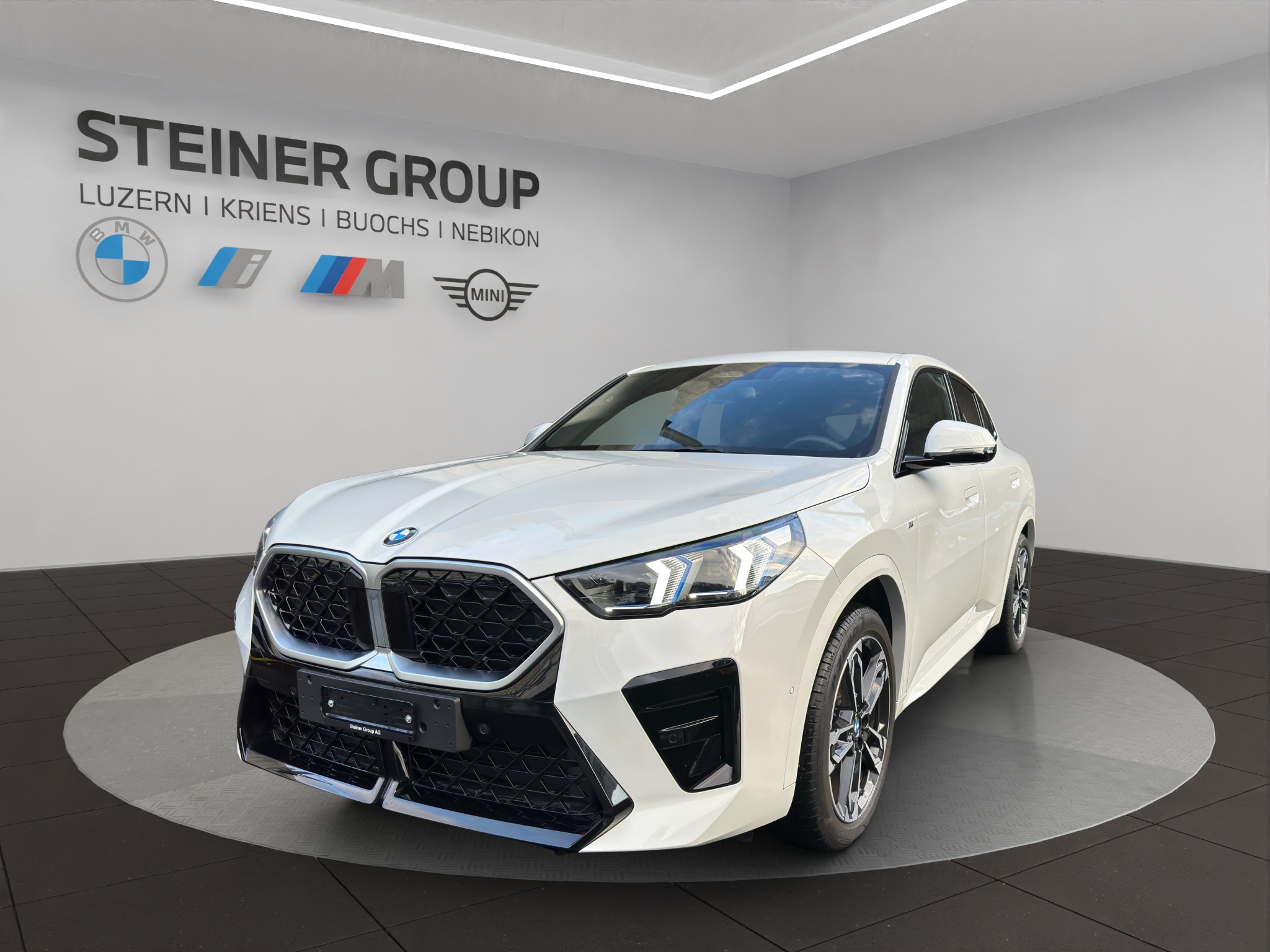 BMW X2 xDrive 20d 48V M Sport Pro