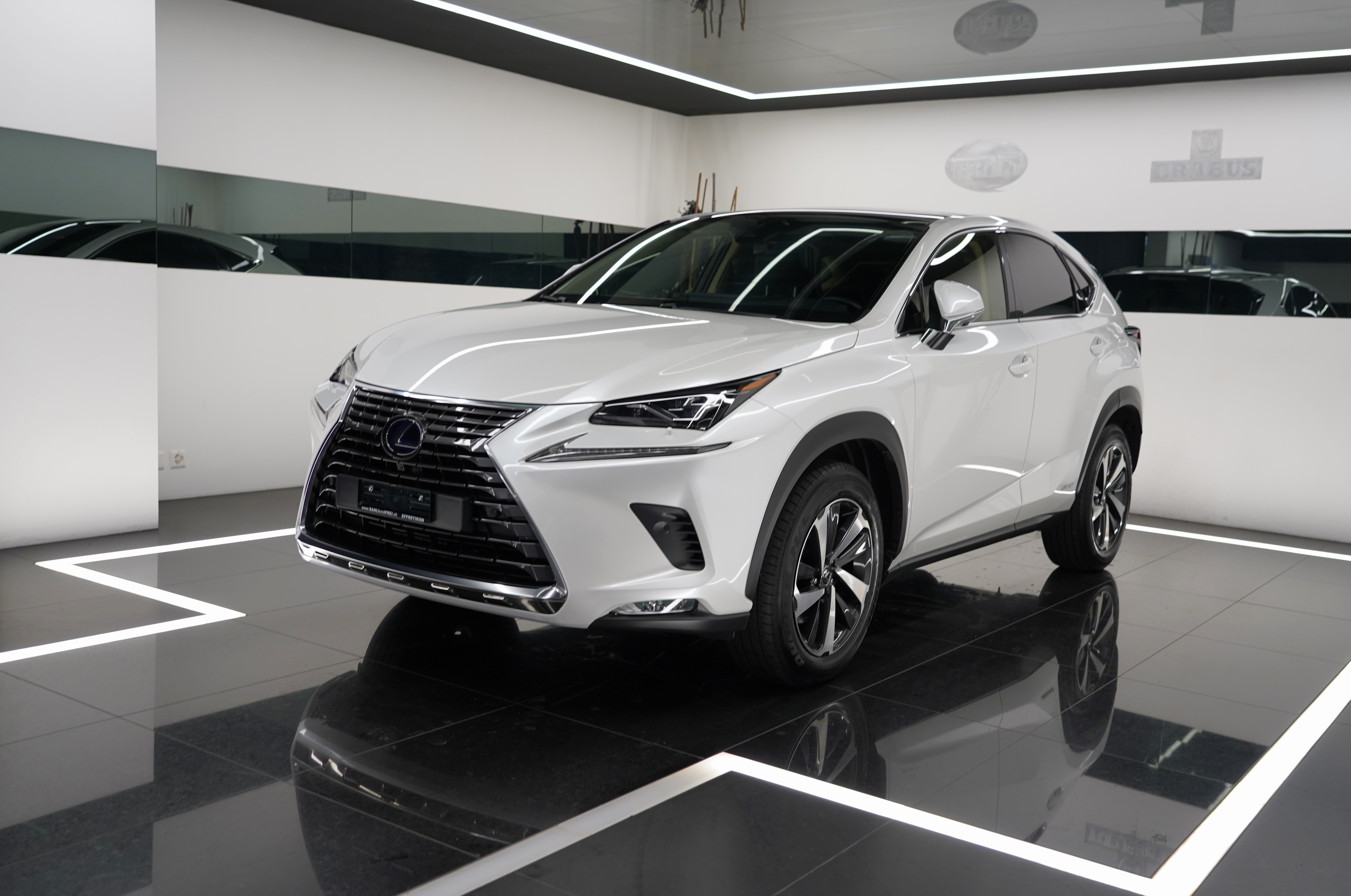 LEXUS NX 300h Excellence