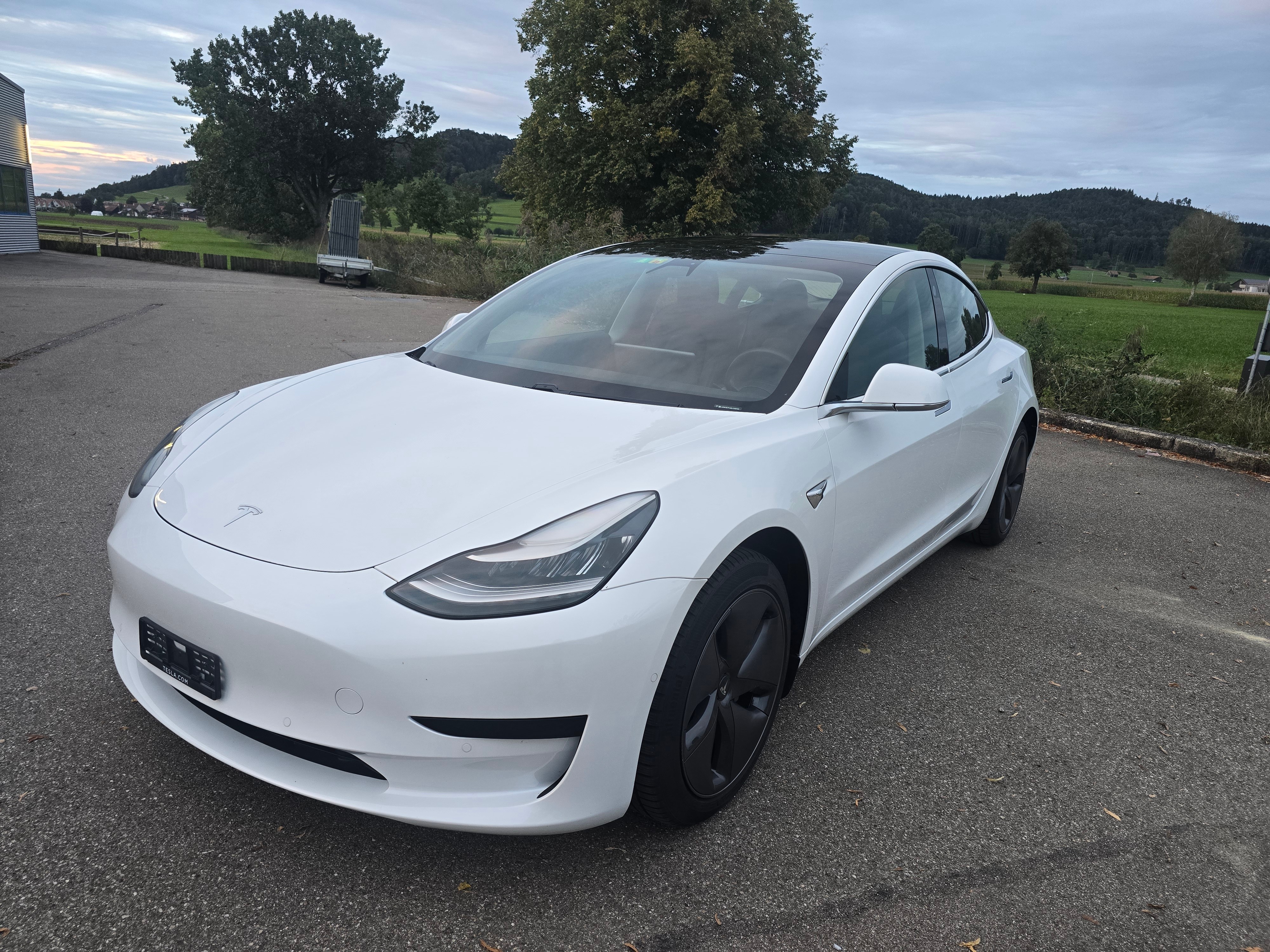 TESLA Model 3*TOP ZUSTAND*Frisch ab MFK*