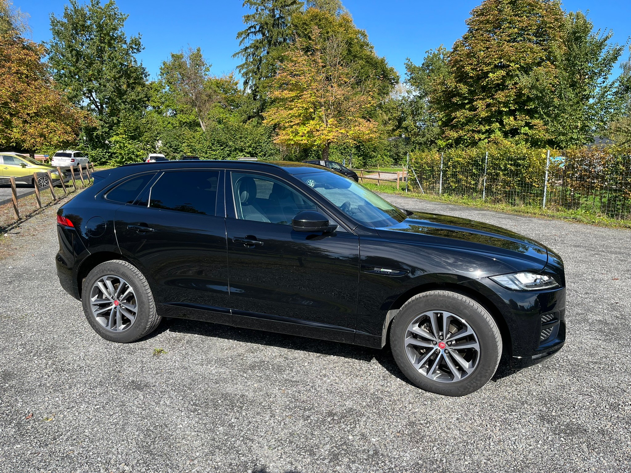 JAGUAR F-Pace 25t 2.0 Pure AWD Automatik