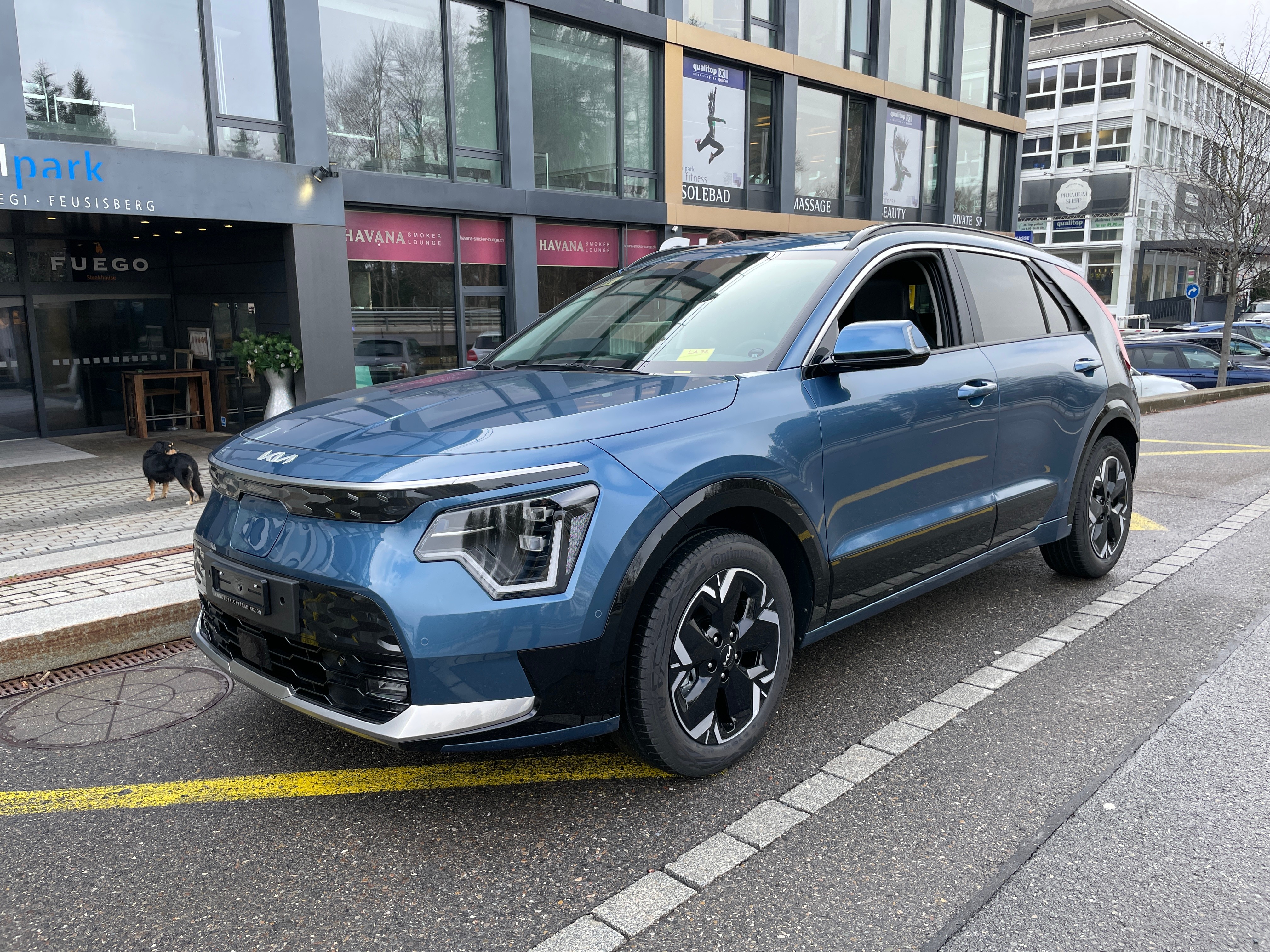 KIA Niro EV 64,8 kWh Style