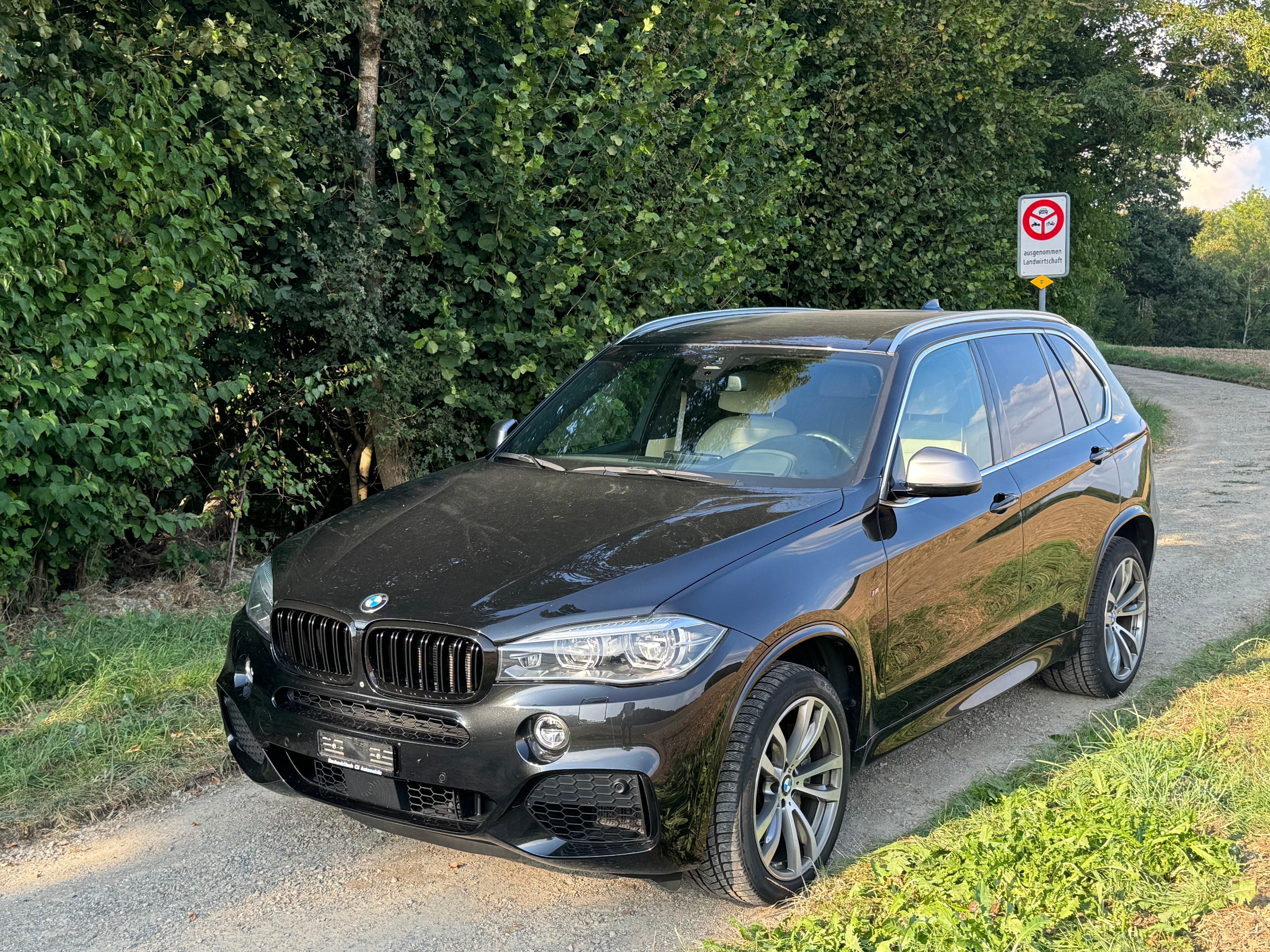 BMW X5 xDrive M50d Steptronic