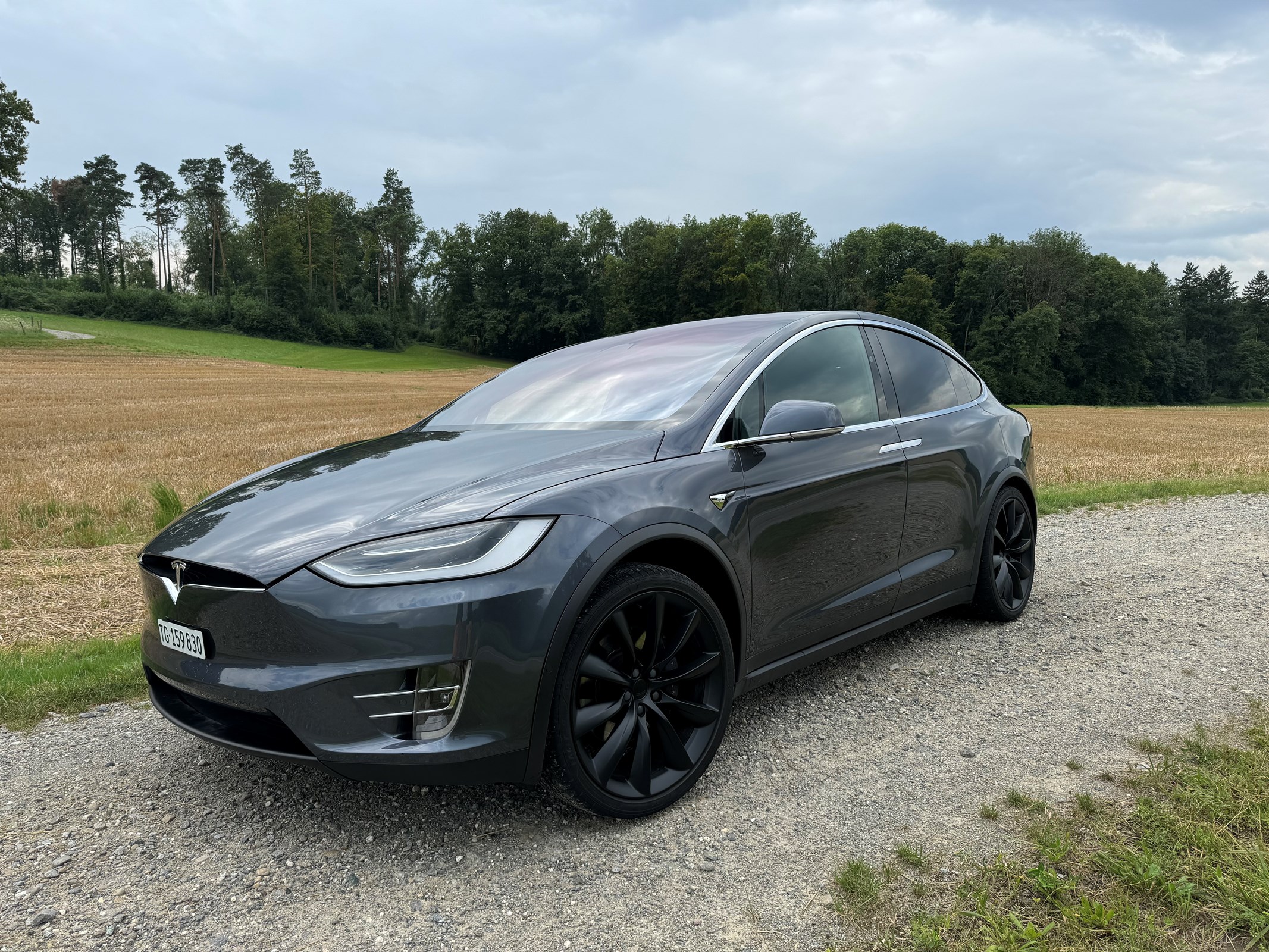 TESLA Model X 100 D