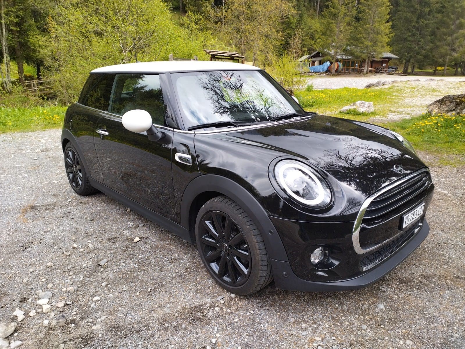 MINI Cooper Blackyard