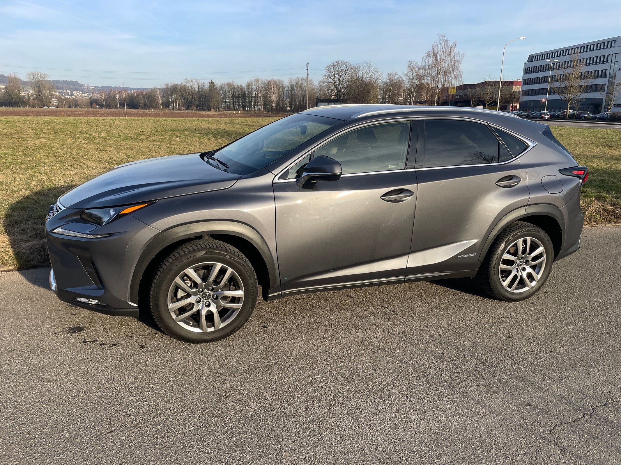 LEXUS NX 300h Comfort E-Four Automatic