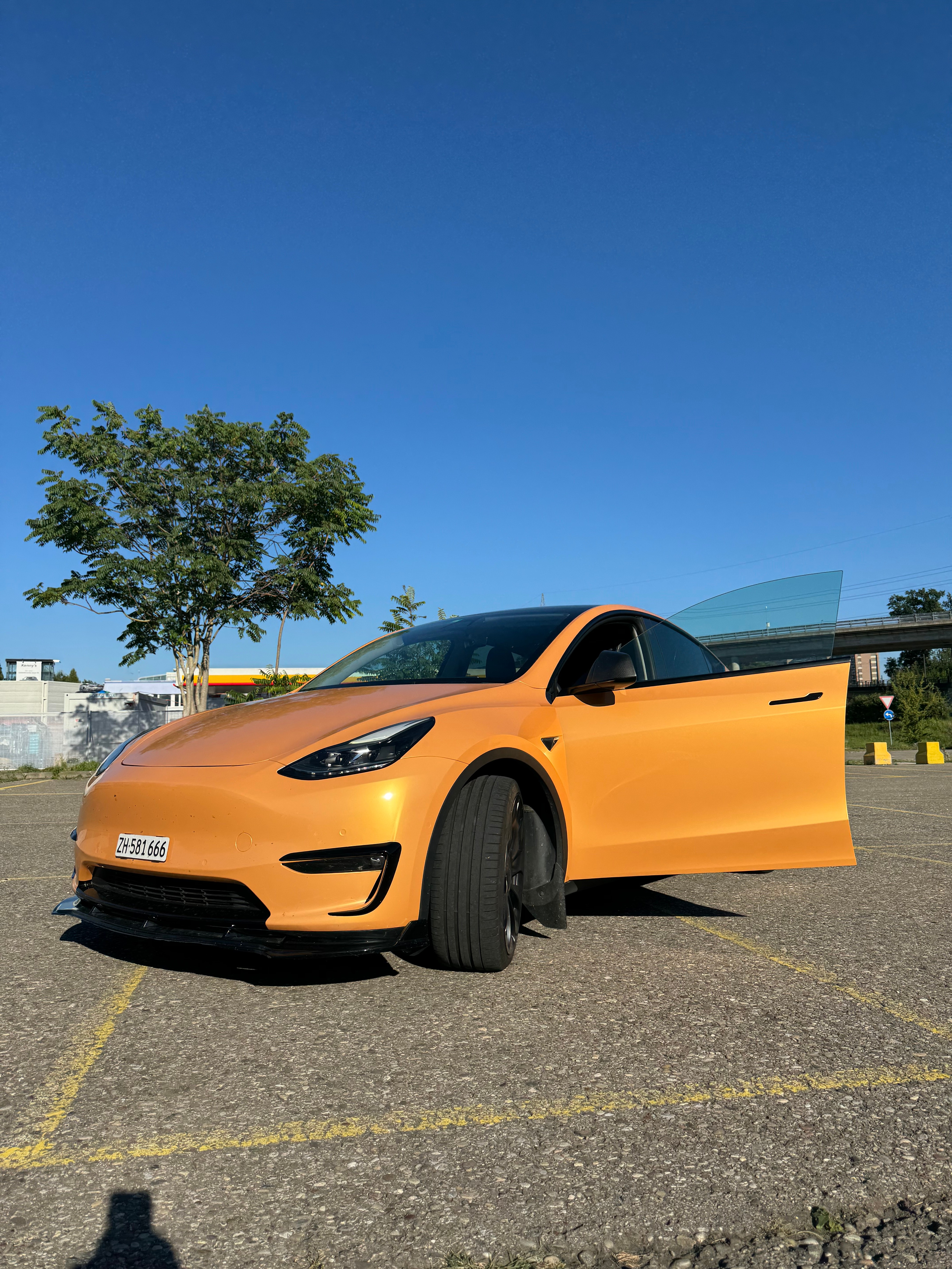 TESLA Performance