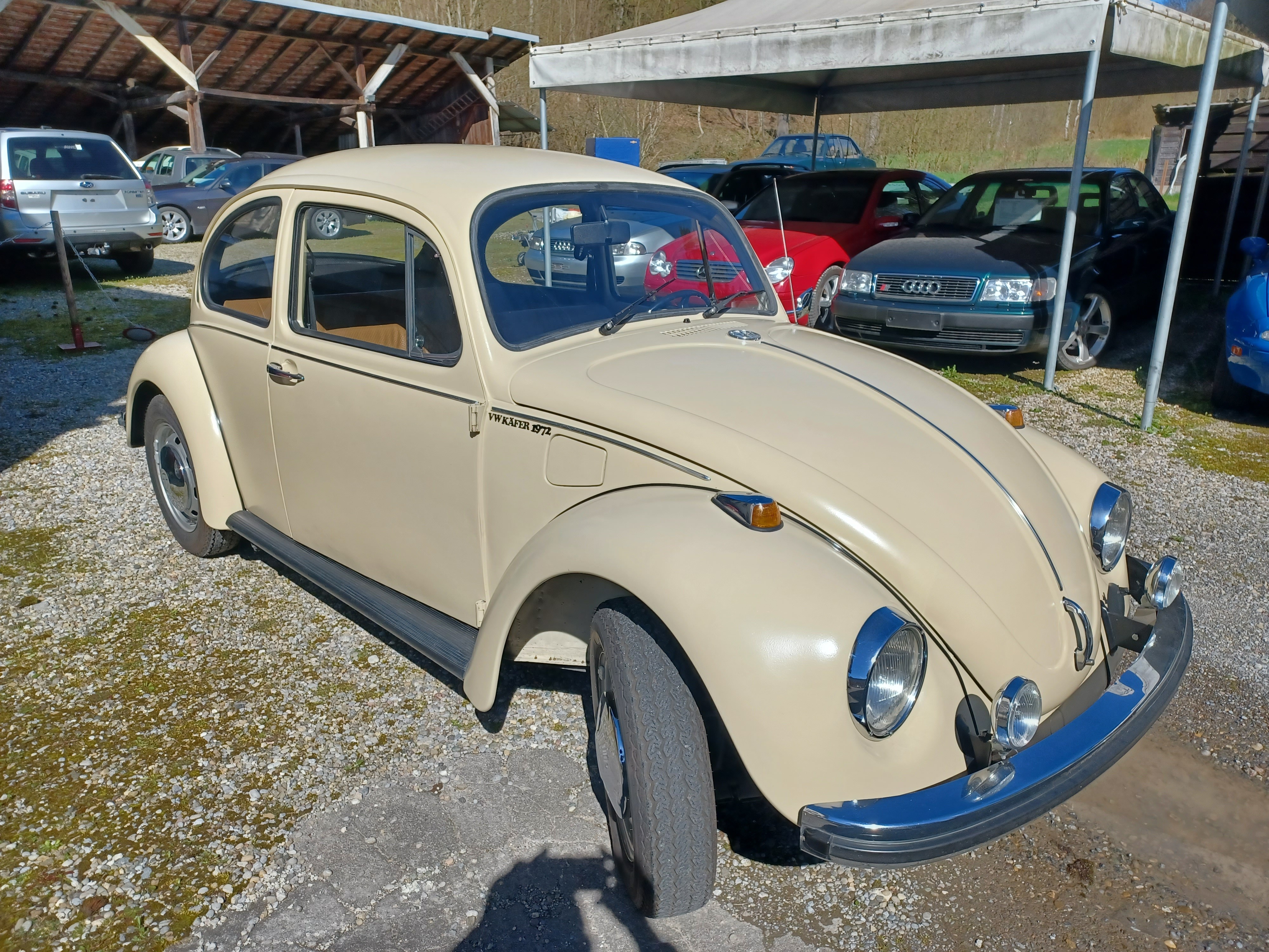 VW Käfer