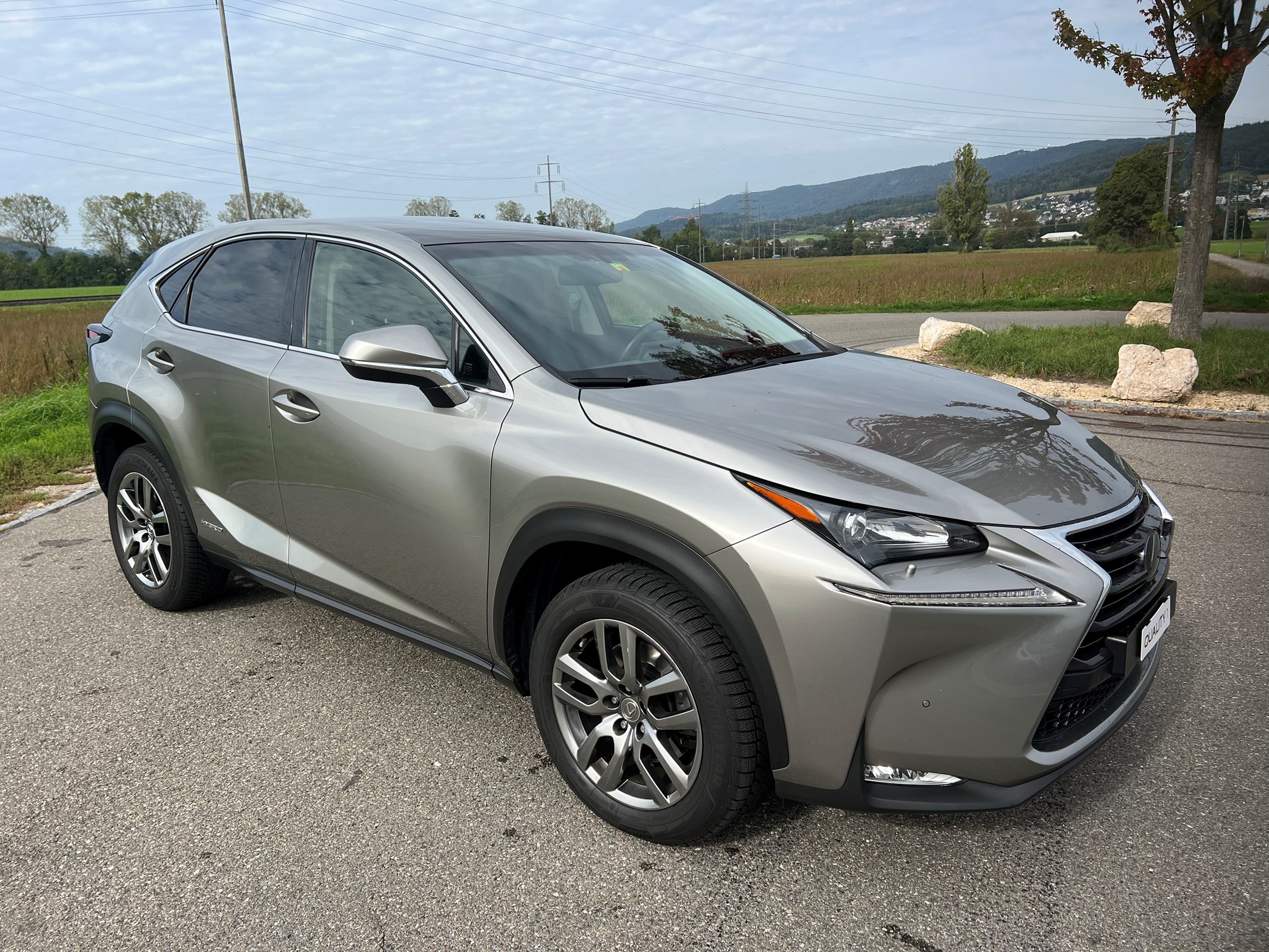 LEXUS NX 300h comfort E-Four Automatic