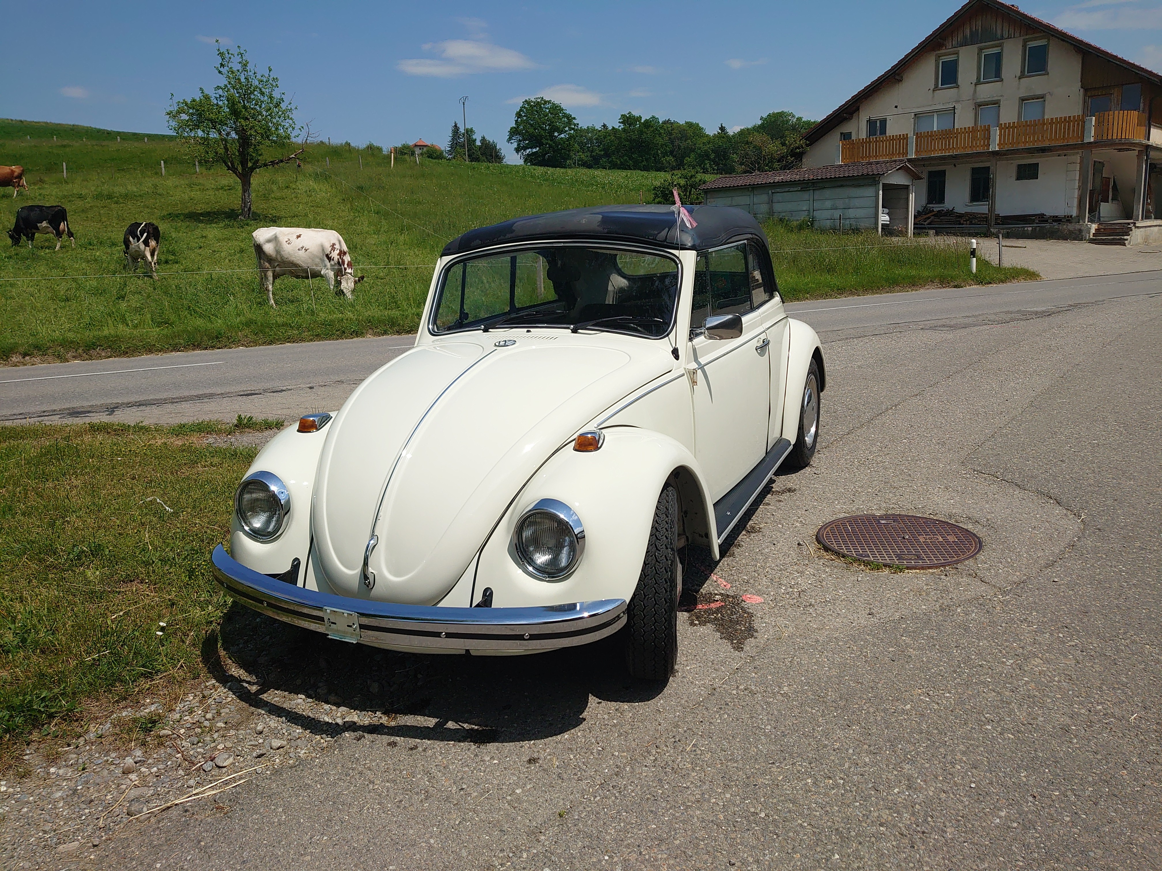 VW Käfer