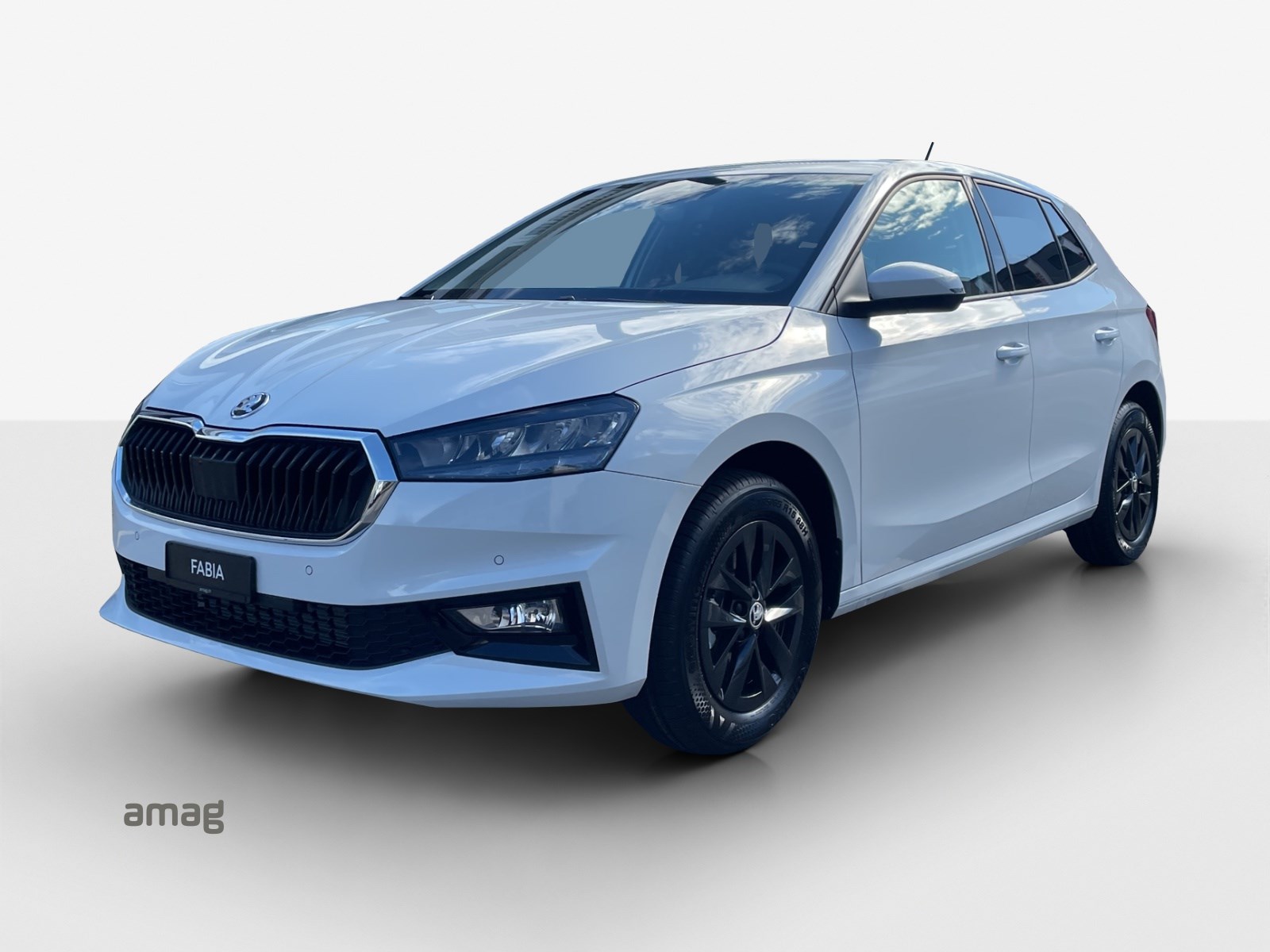 SKODA Fabia 1.0 TSI Selection DSG