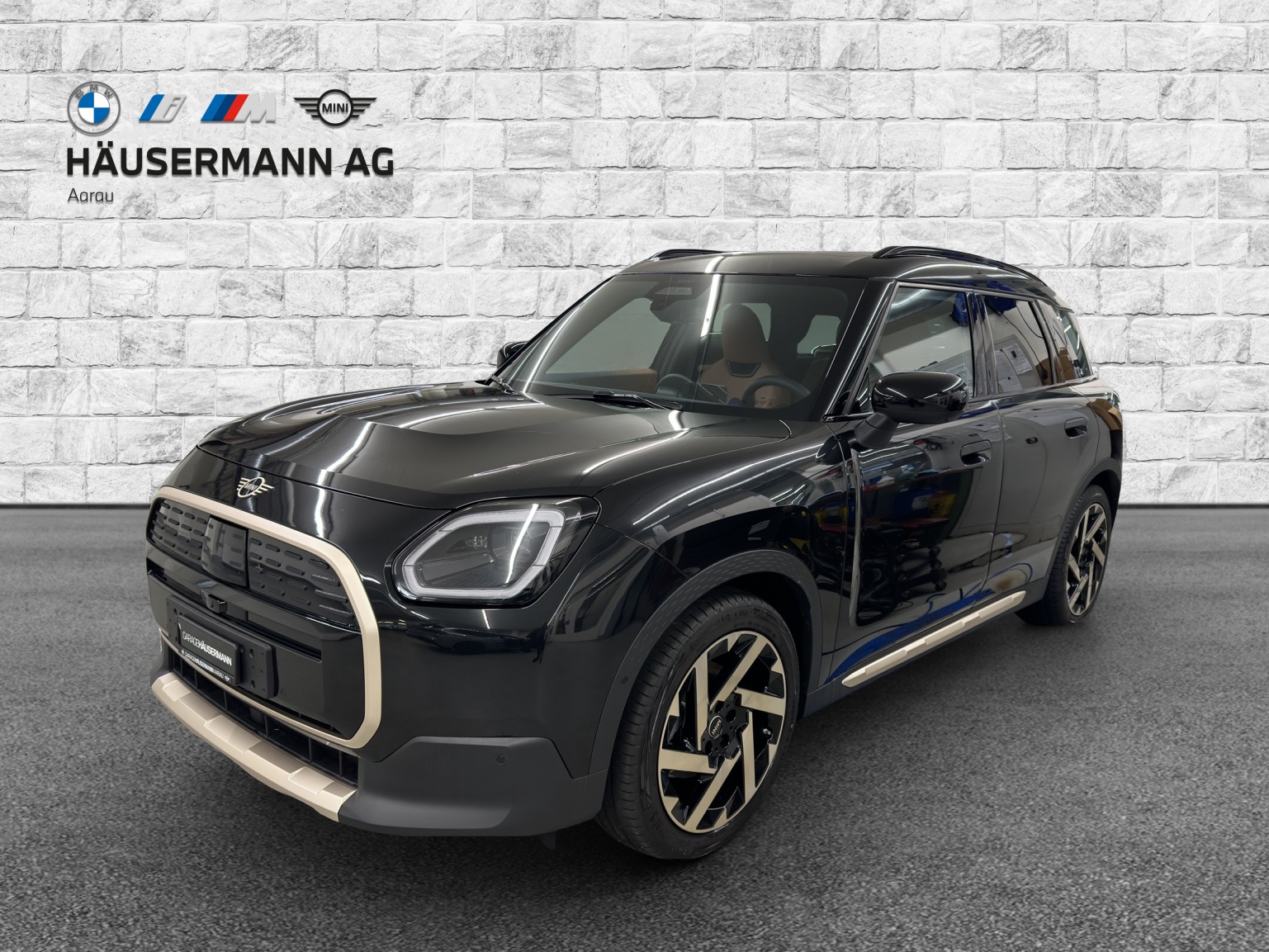 MINI Mini Countryman E