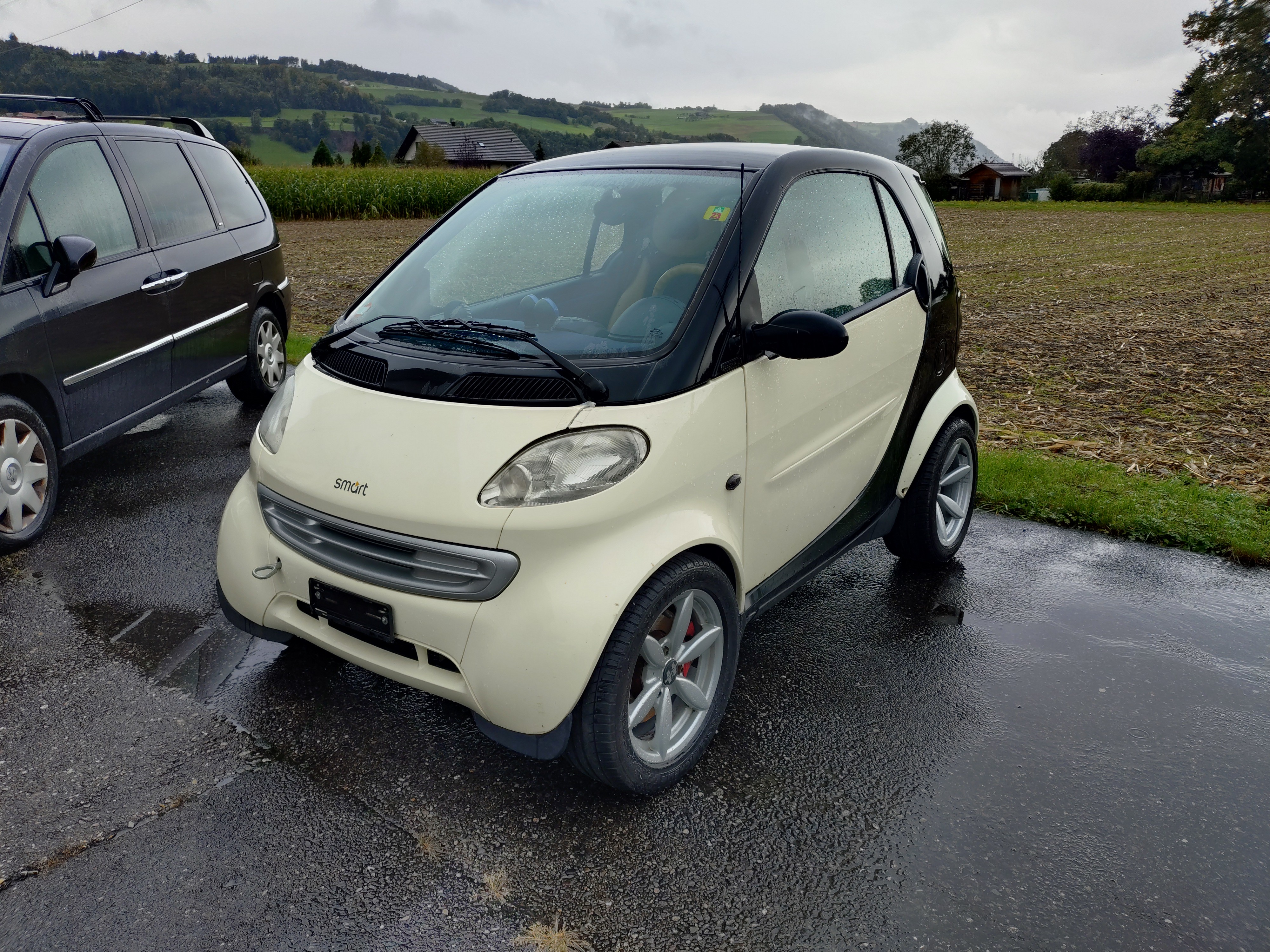 SMART fortwo pure