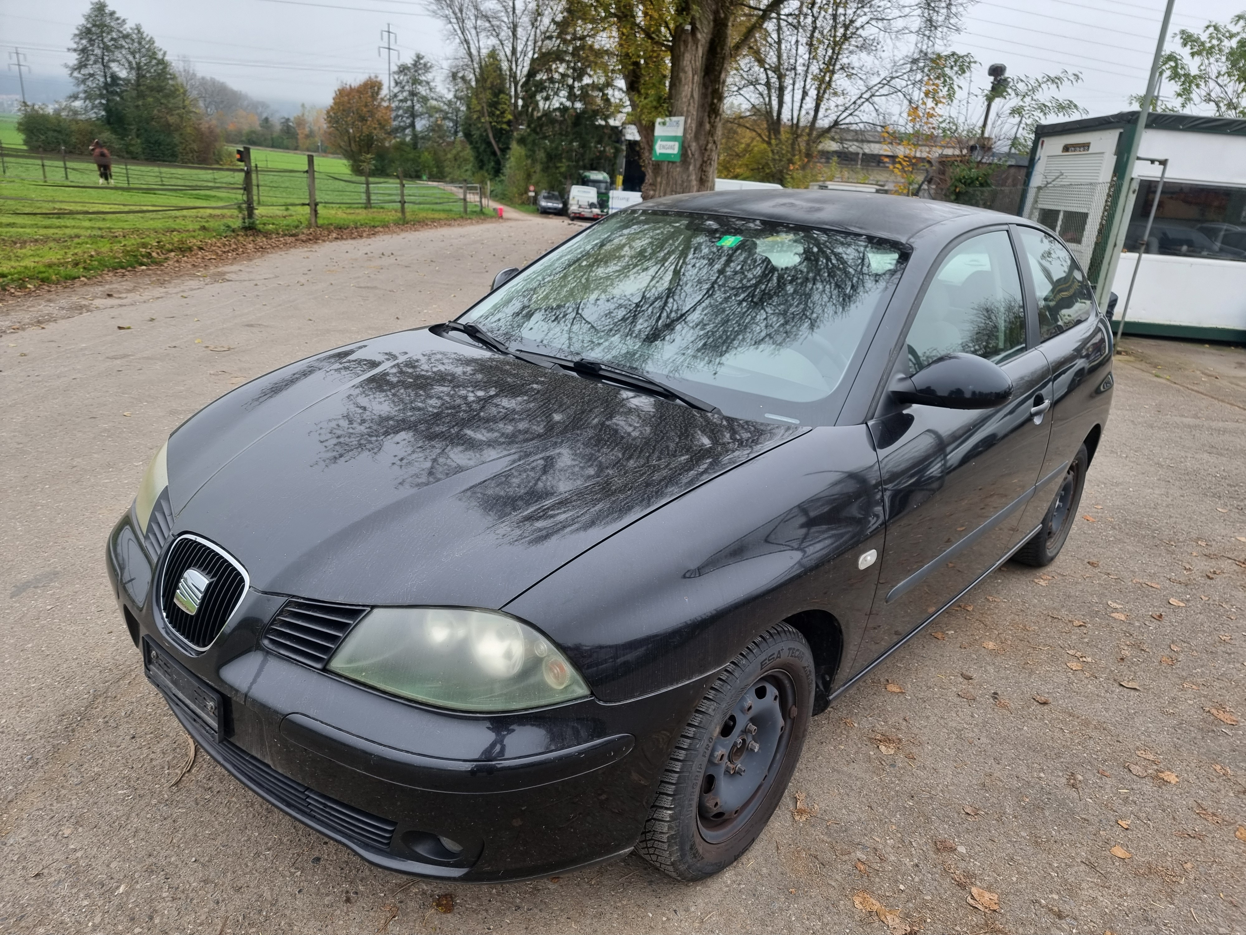 SEAT Ibiza 1.4 16V Signo